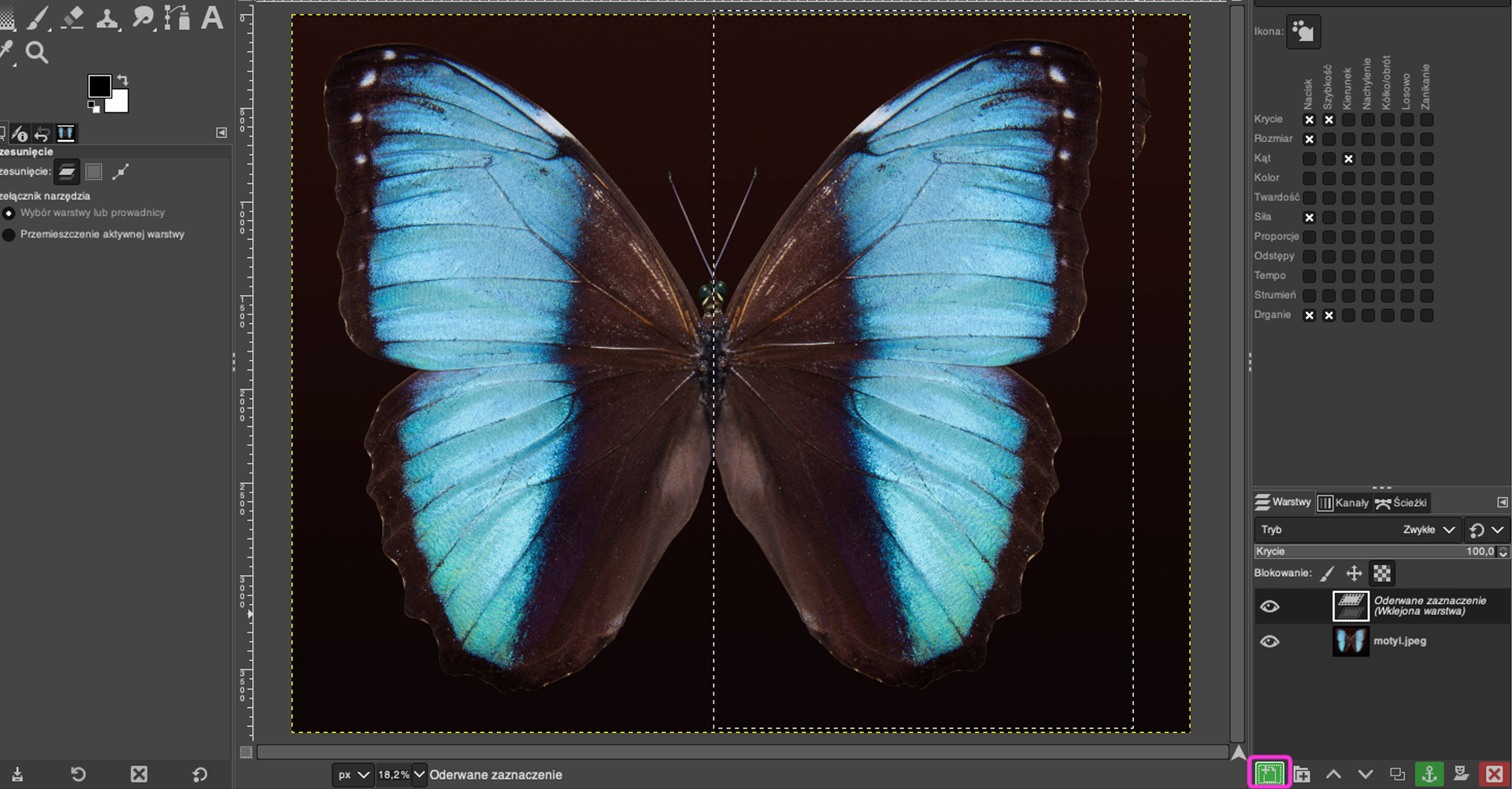 Ilustracja przedstawia okno programu. Po lewej stronie jest panel dotyczący przesunięcia. W obszarze roboczym jest motyl, lewa i prawa strona motyla jest symetryczna. Przez środek ciała motyla przebiega pionowa przerywana linia. Po prawej stronie jest panel dotyczący Pencil Generic, Macierz odwzorowania. Poniżej jest sekcja dotycząca warstw. Tam dwie warstwy: Oderwane zaznaczenie (wklejona warstwa) oraz motyl.jpeg.