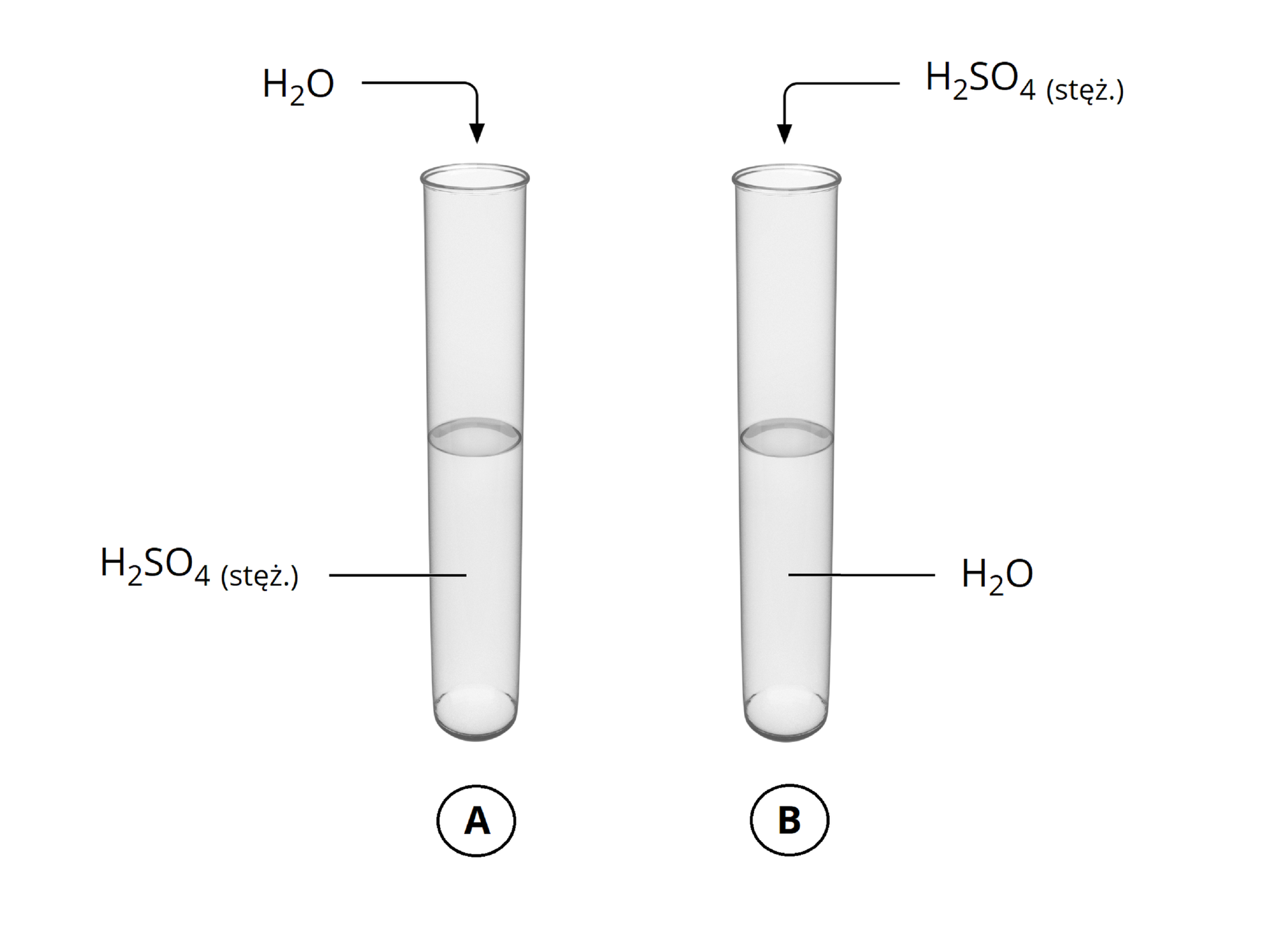 Schemat przedstawiający dwie probówki. W jednej znajduje się H2SO4 (stęż.), a w drugiej H2O. Do pierwszej probówki dodano H2O, a do drugiej H2SO4 (stęż.).