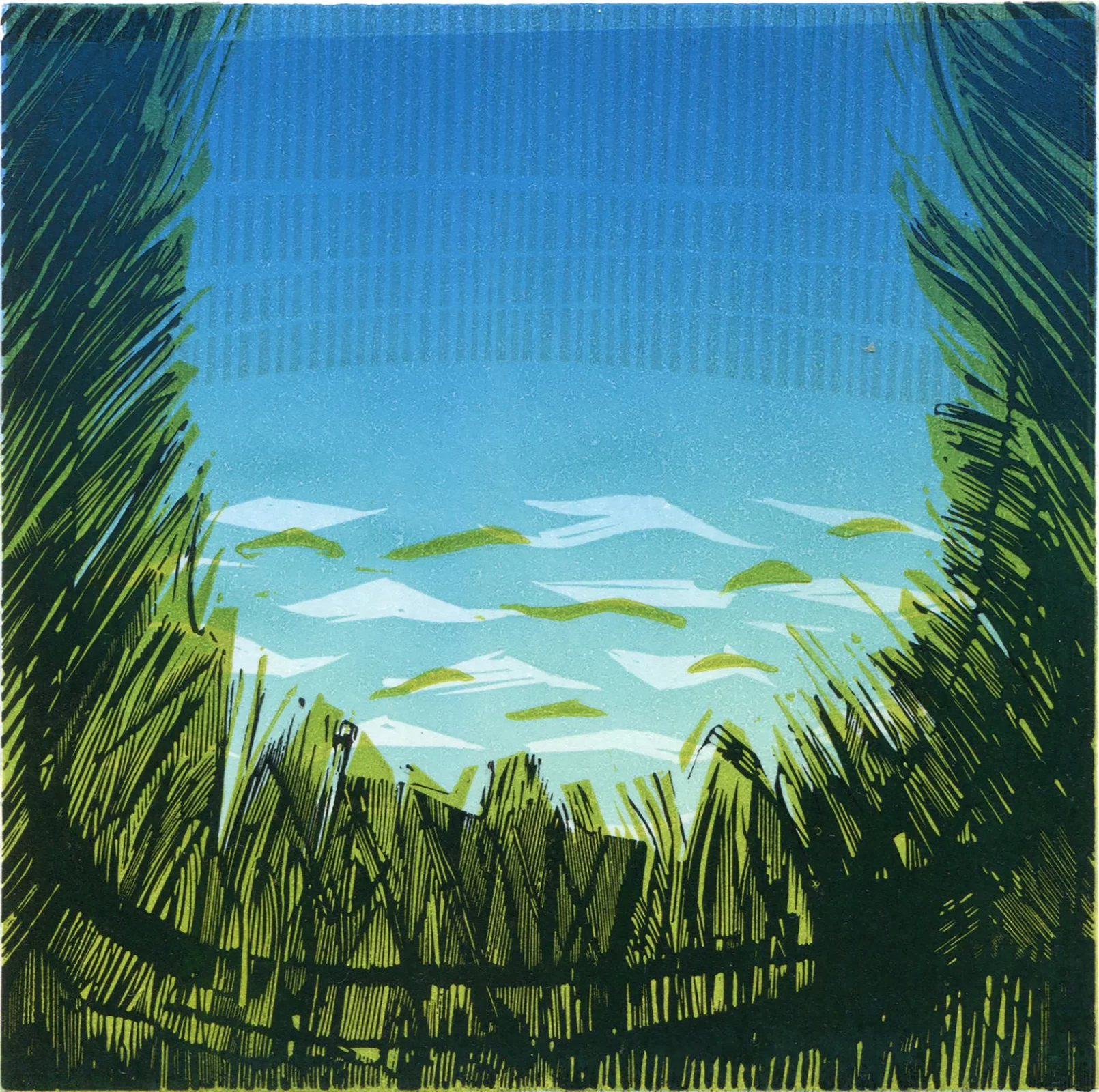 Ilustracja przedstawia linoryt „Pulau Pangkor”, autorstwa Michała Rygielskiego. Artysta, przy pomocy zróżnicowanych, czarnych linii nałożonych na kolorowe tło, stworzył dzieło na pograniczu abstrakcji i figuracji. Na pierwszym planie u dołu oraz z dwóch stron kompozycji znajdują się drobno rysowane, skośne kreski, układające się po łuku w kierunku środka grafiki. Podmalowane zielenią linie przywodzą na myśl łąkę, widzianą z perspektywy ziemi. W tle znajduje się błękitno‑niebieskie niebo rozjaśniające się u dołu. Na jego tle płyną uproszczone kształty chmurek.