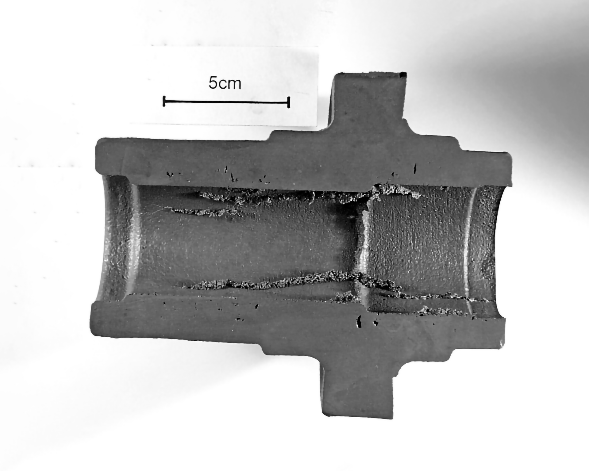 Zdjęcie przedstawia przekrój modelu. Środek jest walcowaty. Ma on żyłki, czyli nieregularne linie wewnątrz modelu.