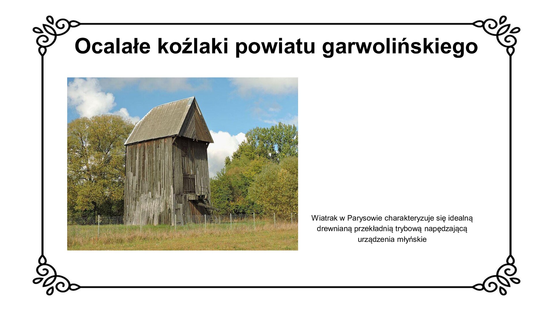 Biały slajd. U góry nagłówek: „Ocalałe koźlaki powiatu garwolińskiego”. Poniżej, z lewej strony slajdu, zdjęcie przedstawiające wiatrak. Znajduje się on w otoczeniu roślinności i jest ogrodzony siatką. Na poziomie pierwszego pietra ma wejście po drewnianych schodach, które zabezpiecza metalowa poręcz. Budynek jest drewniany nakryty dwu spadowym dachem. Obok zdjęcia, z prawej strony slajdu, tekst: „Wiatrak w Parysowie charakteryzuje się idealną drewnianą przekładnią trybową napędzającą urządzenia młyńskie”.