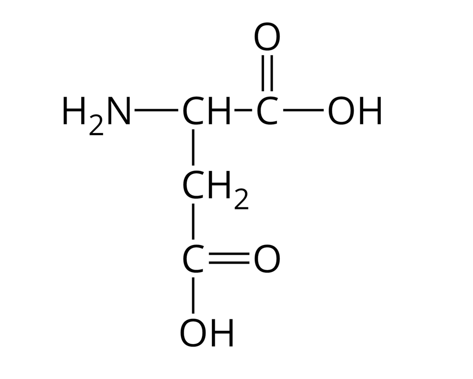 Wzór półstrukturalny kwasu asparaginowego. Do grupy H indeks dolny, dwa, koniec indeksu dolnego, N z prawej strony przyłączona jest grupa C H. Od niej odchodzą dwa wiązania pojedyncze. Pierwsze skierowane jest w prawo do atomu węgla. Od niego odchodzą dwa wiązania: podwójne w górę, prowadzące do atomu tlenu i pojedyncze w prawo do grupy O H. Drugie wiązanie odchodzące od grupy C H skierowane jest w dół i łączy się z grupą C H indeks dolny, dwa, koniec indeksu dolnego, od której odchodzi pojedyncze wiązanie w dół do atomu węgla. Od niego poprowadzone są dwa wiązania: podwójne w prawo do atomu tlenu i pojedyncze w dół do grupy O H.