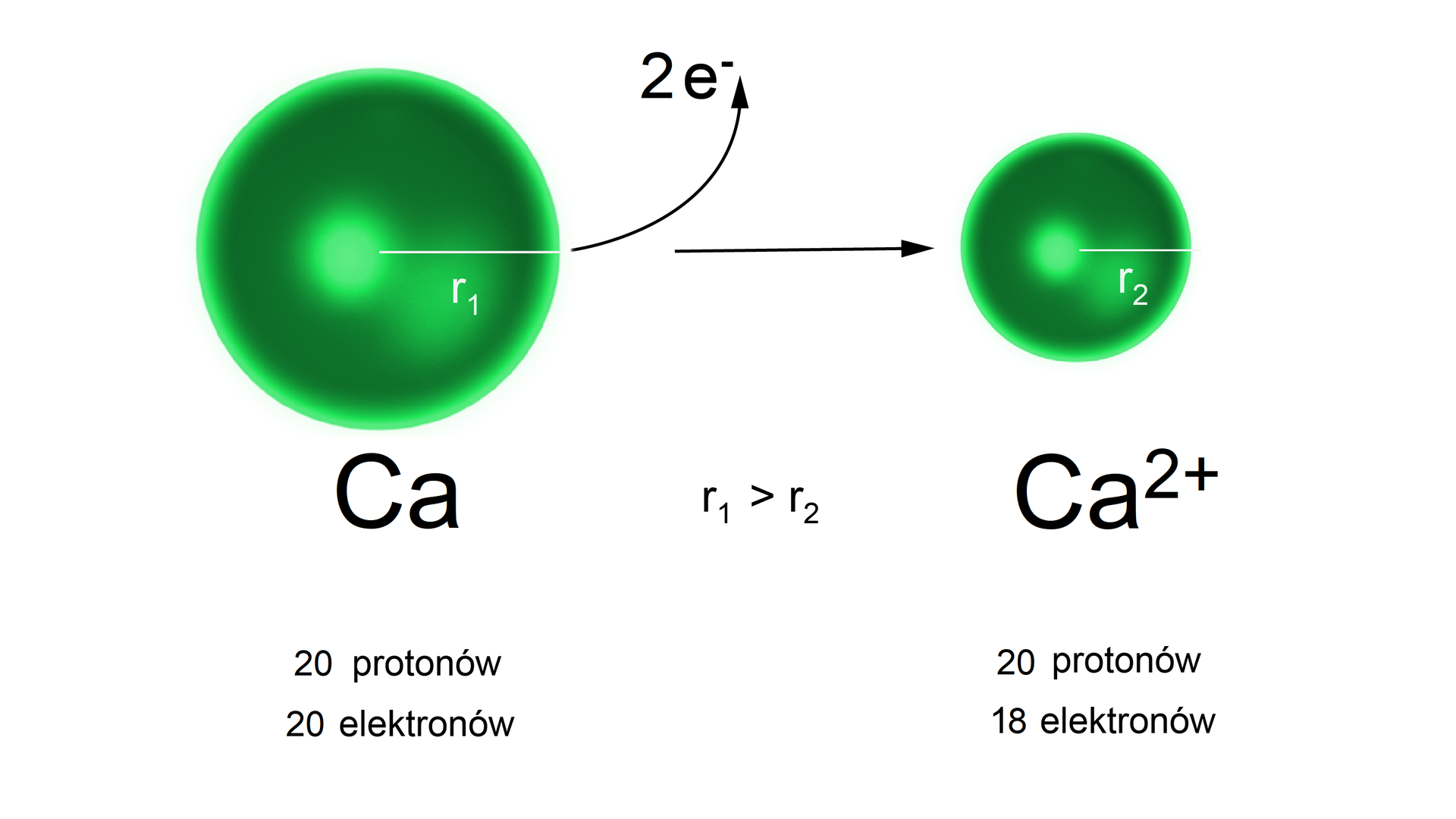 Ilustracja przedstawiająca proces powstania kationu wapnia z atomu wapnia. Po lewej stronie znajduje się duża zielona kulka o promieniu r jeden, która to reprezentuje atom wapnia posiadający w swej strukturze dwadzieścia protonów i dwadzieścia elektronów. Od zielonej kulki poprowadzono łukowatą strzałką opisaną 2 e-, co oznacza odejście dwóch elektronów. Strzałka w prawo, za strzałką znajduje się mała zielona kulka o promieniu r dwa mniejszym od r jeden, która to symbolizuje kation wapnia Ca2+ posiadający w swej strukturze dwadzieścia protonów i osiemnaście elektronów.