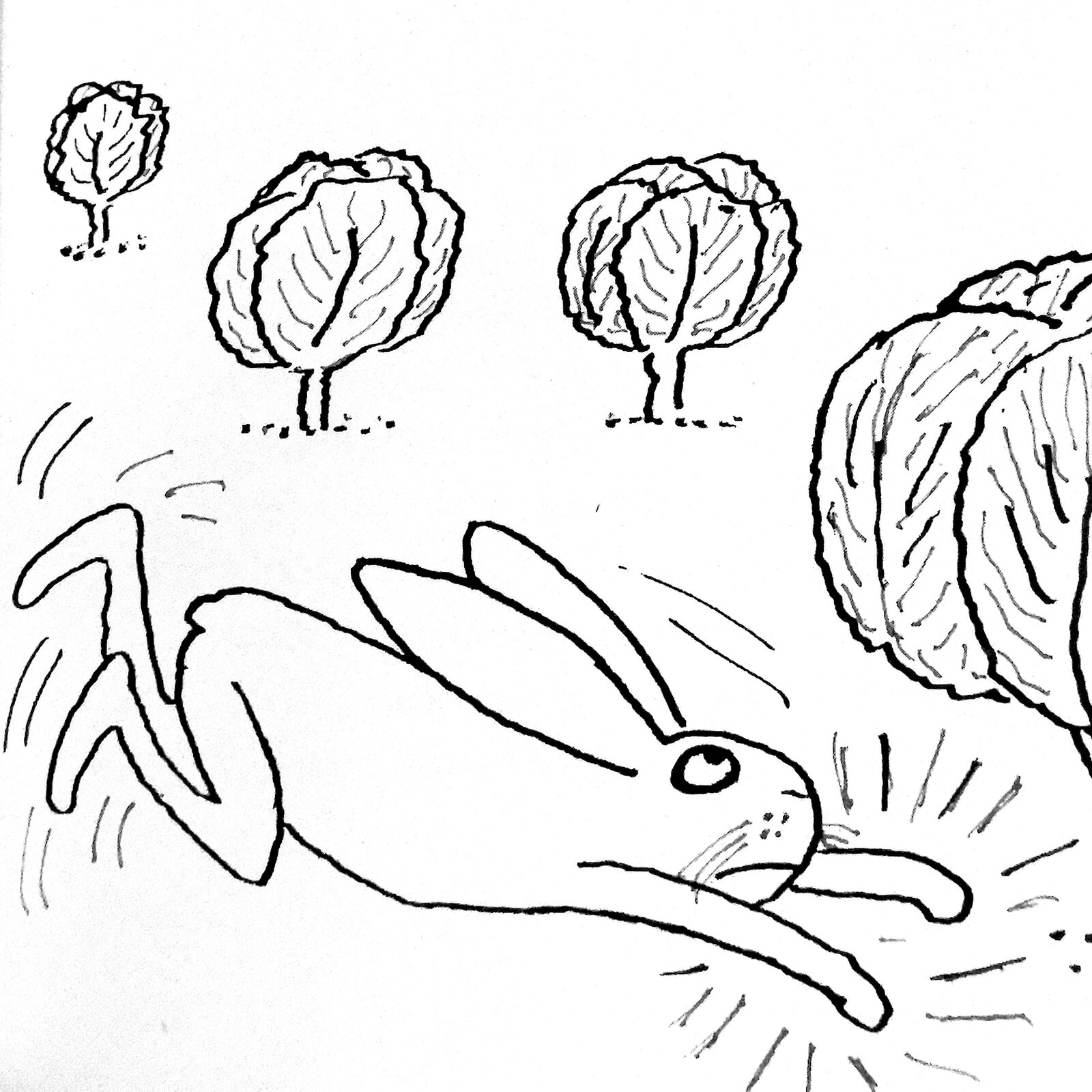 Ilustracja przedstawia grafikę z książki dla dzieci Wandy Chotomskiej "Bobry mówią dzień bobry", ukazującą zająca biegnącego przez pole kapusty.