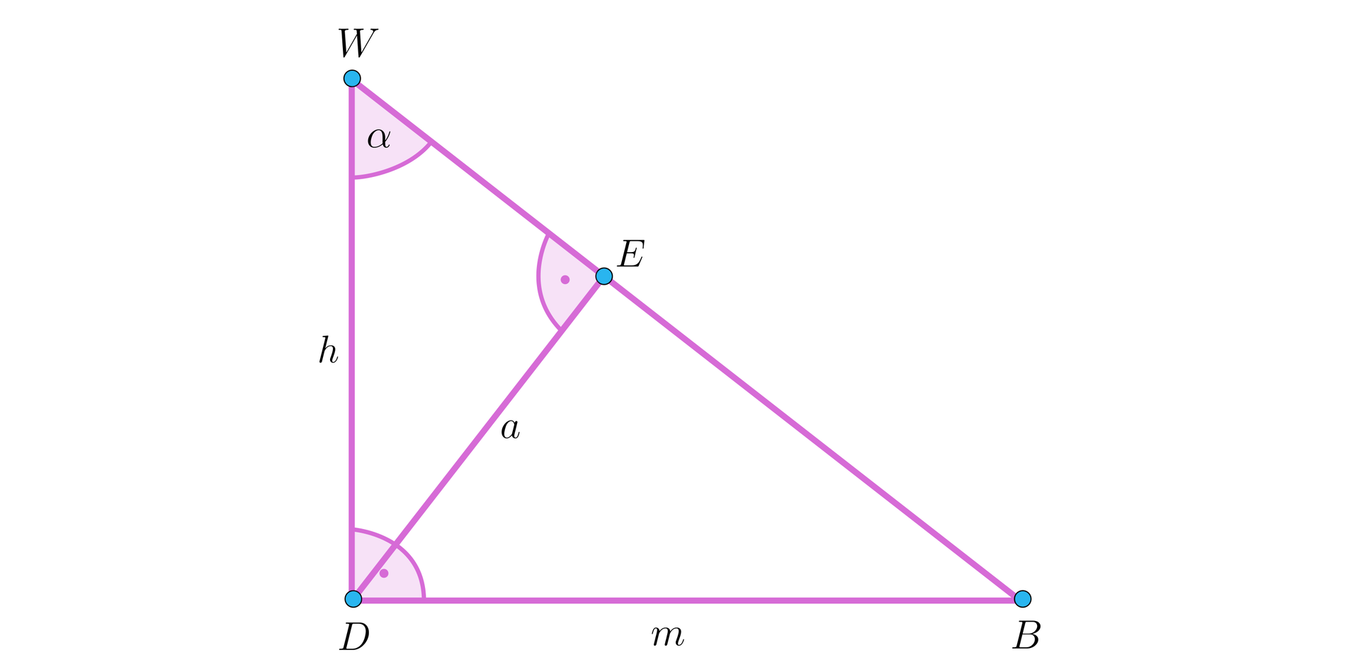 Ilustracja przedstawia trójkąt prostokątny o wierzchołkach W B D, odcinek WD jest jedną z przyprostokątnych i został podpisany literą h, druga przyprostokątna DB jest podpisana literą m. Z wierzchołka D na przeciwprostokątną WB upuszczono wysokość DE, która dzieli przeciwprostokątną na dwa odcinki WE i BE. Odcinek DE jest pod kątem prostym do przeciwprostokątnej WB. Odcinek DE jest podpisany literą a. Pomiędzy odcinkiem BW i odcinkiem DW zaznaczono kąt i podpisano go literą alfa.