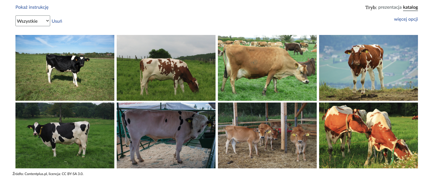 Ilustracja przedstawia przykładowy widok trybu katalogów w galerii interaktywnej. Galeria zawiera osiem zdjęć krów. W lewym górnym rogu galerii widoczny jest niebieski napis: Pokaż instrukcję. Pod nim znajduje się biały prostokąt z czarnym obramowaniem, a w nim napis: Wszystkie. Po prawej stronie od prostokąta jest napis: Usuń. W prawym górnym rogu widnieje napis: Tryb: prezentacja/katalog. Podkreślony został katalog. Pod spodem znajduje się niebieski napis: więcej opcji.