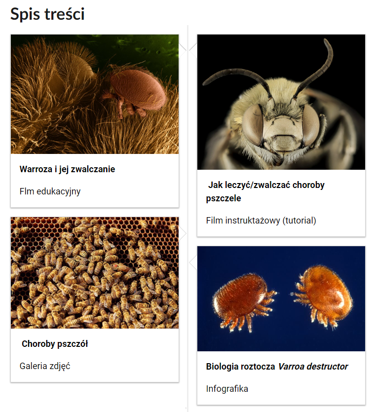 Grafika przedstawia widok fragmentu spisu treści. Na górze znajduje się napis: Spis treści. Poniżej są cztery kafelki z tytułami, rodzajem multimedium i ilustracją. Kafelek pierwszy. Warroza i jej zwalczanie. Film edukacyjny. Na zdjęciu znajdują się osobniki Varroa destructor. Kafelek drugi. Jak leczyć/zwalczać choroby pszczele. Film instruktażowy (tutorial). Na zdjęciu znajduje się zbliżenie na szkodnika. Trzeci kafelek. Choroby pszczół. Galeria zdjęć. Na zdjęciu znajduje się zbliżenie na plaster pokryty pszczołami. Czwarty kafelek. Biologia roztocza Varroa destructor. Infografika. Na zdjęciu znajdują się osobniki Varroa destructor.
