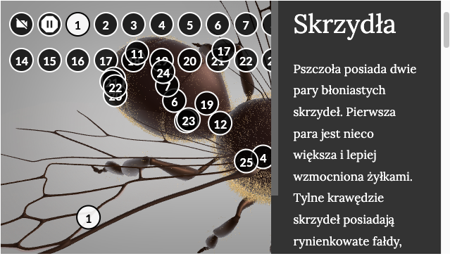 Zdjęcie przedstawia fragment wizualizacji 3D. Po prawej stronie widnieje panel z fragmentem tekstu dotyczącym skrzydeł. 