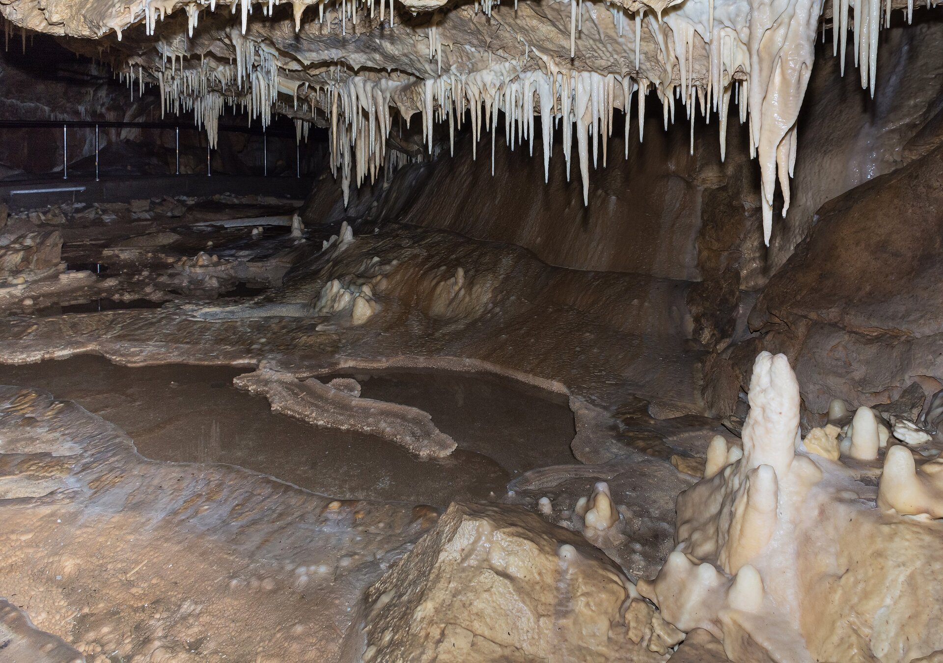 Zdjęcie przedstawia wnętrze jaskini. Na jej dnie są płytkie zagłębienia wypełnione wodą. Ze stropu jaskini zwisają krótkie stalaktyty. Na dnie są niewysokie stalagmity.   