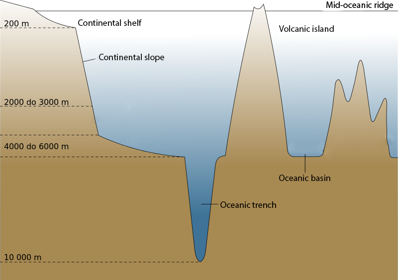 Grafika przedstawiająca formy ukształtowania dna oceanicznego ocean floor. Wyróżniamy: szelf kontynentalny, continental shelf, na wysokości 200 metrów; poniżej stok kontynentalny do wysokości 2000 - 3000 metrów, continental slope,  podnóże kontynentalne, równina abisalna, rów oceaniczny, oceanic trench, wyspa wulkaniczna, volcanic island, basen oceaniczny, oceanic basin na wysokości 4000 - 6000 metrów, grzbiet śródoceaniczny, mid-oceanic ridge na wysokości od 6000 - 10000 metrów w dół. Graniczna wartość w dolnej części przekroju oceanicznych pięter wynosi 10 000 metrów.
