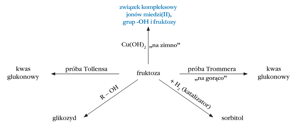 Ilustracja przedstawiająca różne reakcje chemiczne, w których fruktoza pełni rolę substratu. Fruktoza znajduje się w centrum schematu od niej poprowadzone są strzałki, nad którymi zapisano odczynniki, zaś za każdą strzałką produkty poszczególnych reakcji. Pierwsza reakcja. Nad strzałką wzór ogólny alkoholu ROH, za strzałką produkt reakcji, to jest glikozyd. Druga reakcja. Nad strzałką zapis próba Tollensa, za strzałką produkt reakcji kwas glukonowy. Trzecia reakcja. Nad strzałką wodorotlenek miedzi(dwa) C u nawias, O H, zamknięcie nawiasu, indeks dolny, dwa, koniec indeksu dolnego oraz zapis "na zimno", za strzałką związek kompleksowy jonów miedzi(dwa) z grupami O H fruktozy. Czwarta reakcja. Nad strzałką zapis "próba Trommera" oraz  "na gorąco", za strzałką kwas glukonowy. Piąta reakcja. Nad strzałką cząsteczka wodoru H indeks dolny, dwa, koniec indeksu dolnego oraz katalizator, za strzałką cząsteczka sorbitolu. 