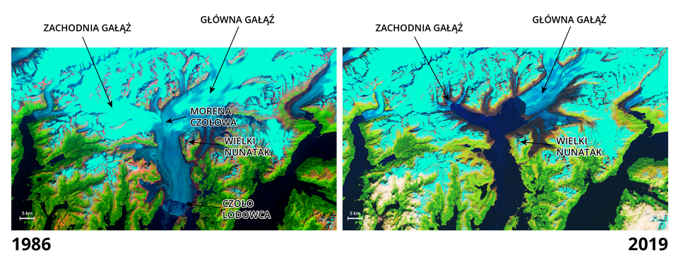 Dwa zdjęcia satelitarne przedstawiają porównanie topnienia lodowca Columbia na Alasce w latach 1986 i 2019. Oba obrazy pokazują ten sam fragment terenu, z oznaczonymi elementami: zachodnia gałąź (lewa strona), główna gałąź (środek), Wielki Nunatak (charakterystyczna góra wystająca z lodowca), morała czołowa oraz czoło lodowca (widoczne tylko na zdjęciu z 1986 roku). Na zdjęciu z 1986 roku lodowiec pokrywa większość dolin i sięga daleko ku południu, natomiast na zdjęciu z 2019 roku obszar pokryty lodem i śniegiem jest wyraźnie mniejszy—widać odsłonięte tereny, a lodowiec cofnął się o wiele kilometrów. Barwy sztuczne, kontrastowe: lód i śnieg są jasnoniebieskie, ląd zielony i brązowy, woda ciemnoniebieska. Na dole znajduje się podpis: „Topnienie Lodowca Columbia, Alaska”.