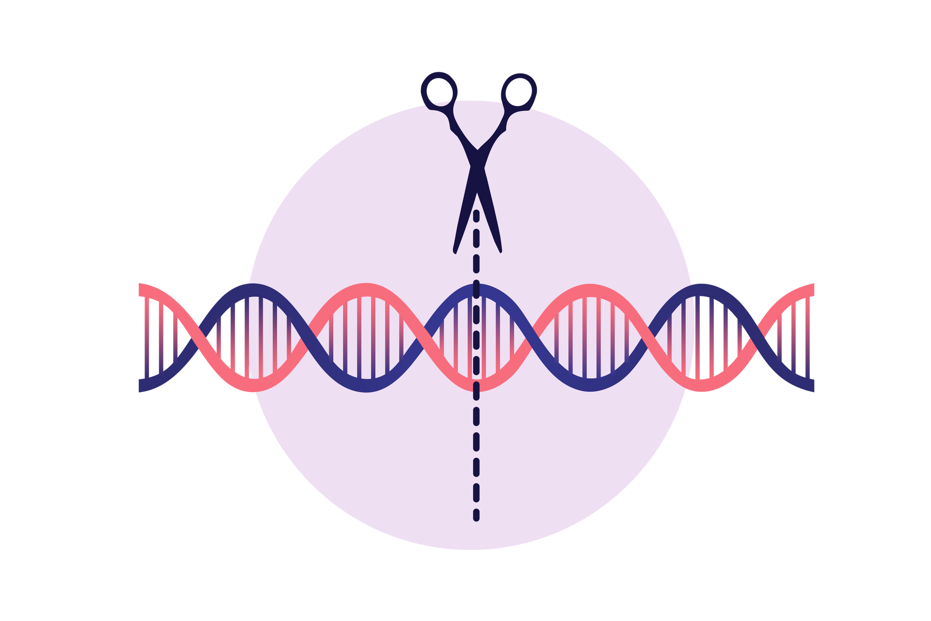 Ilustracja przedstawia łańcuch DNA oraz nożyczki chcące go roziciąć na środku.