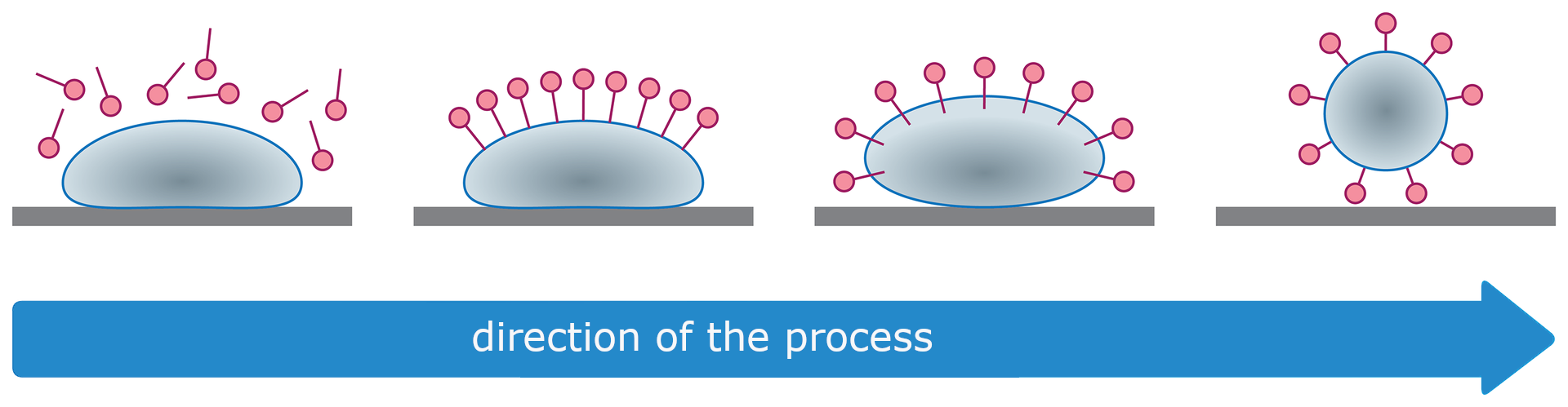 Ilustracja przedstawia mechanizm usuwania brudu przez mydło i inne detergenty. Pokazana owalna zabrudzona powierzchnia i otaczające ją cząsteczki detergentu. W pierwszej fazie otaczają ją chaotycznie, następnie układają się rzędem na jej powierzchni - część hydrofobowa - "ogonek" dotyka powierzchni, część hydrofilowa - "główka" jest na zewnątrz. W kolejnym etapie zaczynają ją otaczać również od dołu. W końcu odrywają brud od miejsca, do którego był przyczepiony.  