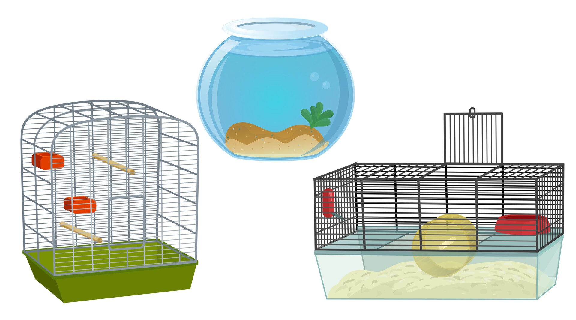 Ilustracja przedstawia wysoką klatkę z drążkami, okrągłe akwarium oraz klatkę z kołowrotkiem.