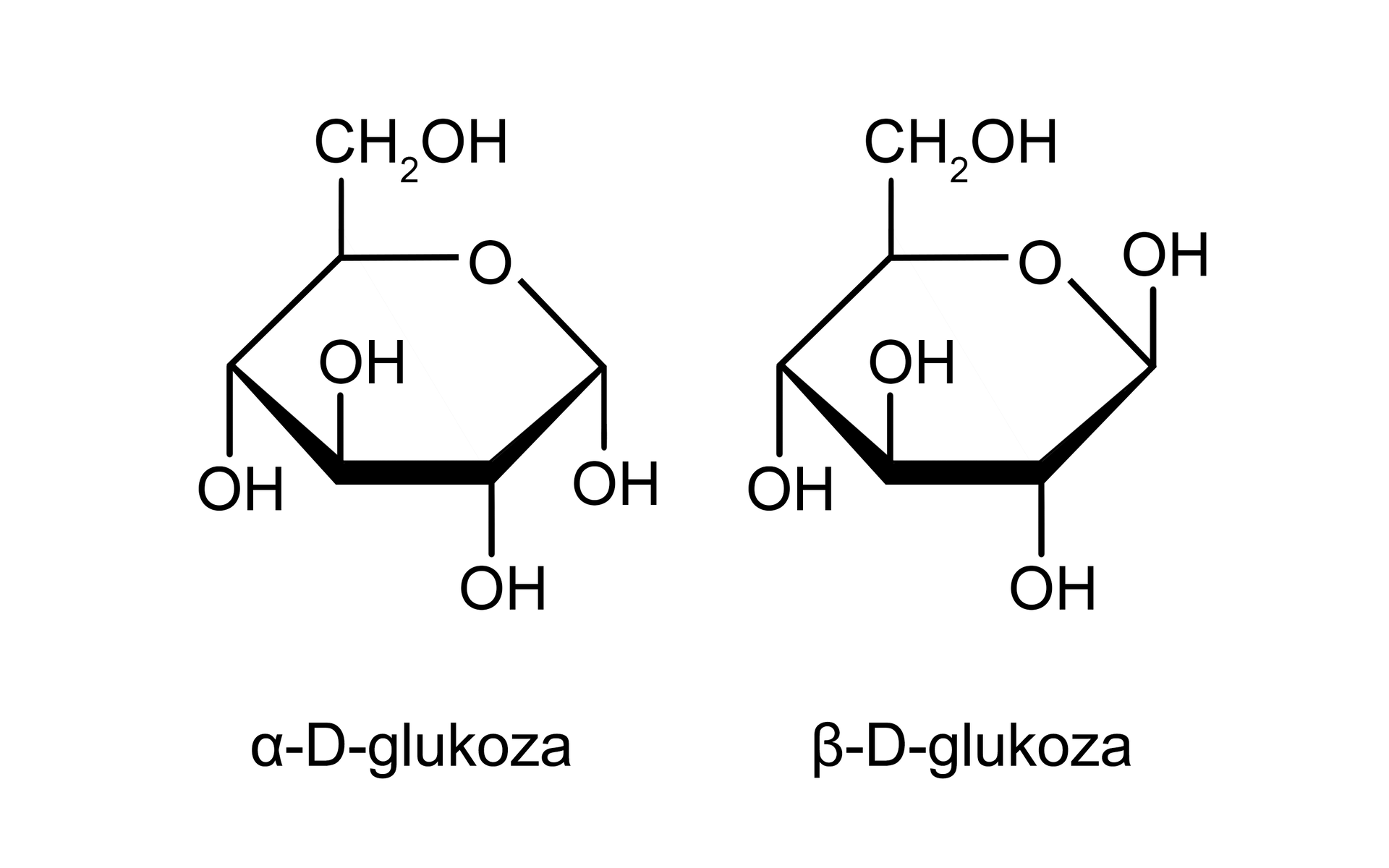 Ilustracja przedstawiająca strukturę dwóch anomerów glukozy w formie cyklicznej, alfa oraz beta. Alfa‑D-glukopiranoza zbudowana jest z sześcioczłonowego pierścienia składającego się z pięciu atomów węgla oraz z jednego atomu tlenu. Numeracja atomów węgla jest zgodna z ruchem wskazówek zegara. Przy atomach węgla C 1, C 2 oraz C 4 znajdują się grupy hydroksylowe OH wychodzące za płaszczyznę, zaś atomy wodoru przed. Przy węglu C 3 grupa hydroksylowa wychodzi przed płaszczyznę, zaś atom wodoru za. Węgiel C 5 podstawiony jest grupą CH2OH wychodzącą przed płaszczyznę oraz atomem wodoru znajdującym się za płaszczyzną. Po prawej znajduje się anomer beta, w którym podobnie, jak w przypadku formy alfa brak jest grupy aldehydowej. Jest to forma cykliczna glukozy, w przypadku której grupa hydroksylowa OH przy anomerycznym atomie węgla C 1 znajduje się przed płaszczyzną, pozostałe podstawniki zlokalizowane są analogicznie jak w przypadku opisanego już anomeru alfa.