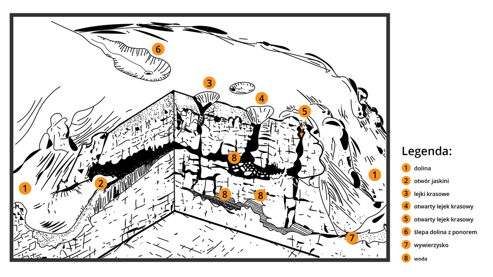 Ilustracja przedstawia poszczególne elementy jaskiń. Na ilustracji jest przekrój przez jaskinię wraz z powierzchnią, pod którą powstaje jaskinia. Widoczne są liczne pęknięcia, lejki, uskoki. Zaznaczono: dolinę w postaci zagłębienia, prowadzi ona do otworu jaskini. Na szczycie jaskini zaznaczono lejki krasowe - mają postać lejków, zagłębień. Otwarty lejek krasowy biegnie od góry od zewnątrz do środka jaskini. Nad jaskinią zaznaczono ślepą dolinę z ponorem - to zagłębienie z otworem. W środku jaskini w kilku miejscach na górze i na dole zaznaczono wodę.          