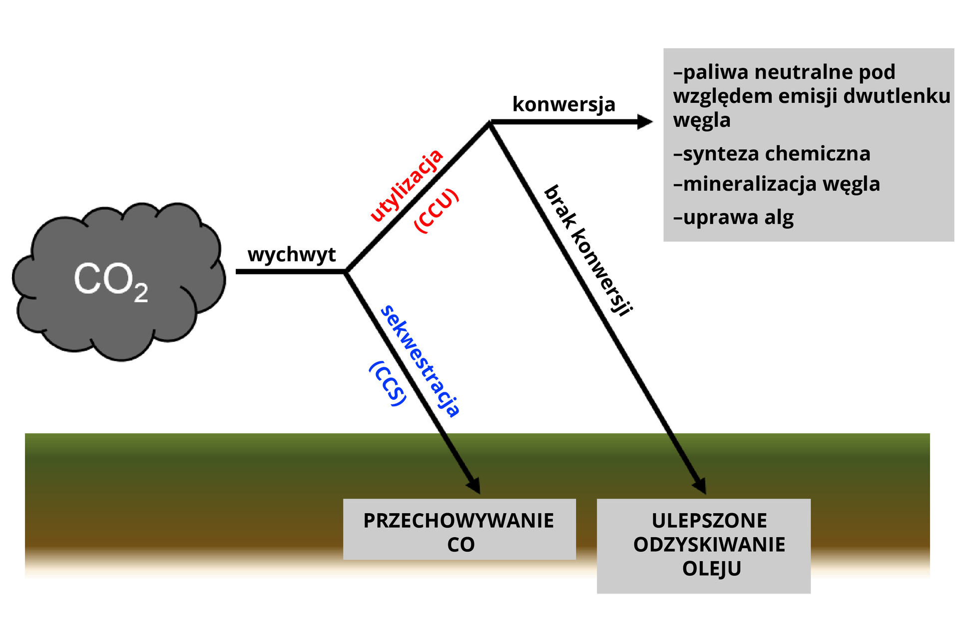 Grafika przedstawia działanie technologii CCU. Od lewej strony znajduje się chmura CO2. Następuje wychwyt. Może zostać poddany sekwestracji CCS, w wyniku której następuje przechowywanie CO. Lub może zostać poddany utylizacji CCU. Gdy nie zostanie poddany konwersji, to następuje ulepszone odzyskiwanie oleju. Gdy zostanie poddany konwersji, to powstają paliwa neutralne pod względem emisji dwutlenku węgla, następuje synteza chemiczna, mineralizacja węgla oraz uprawa alg.