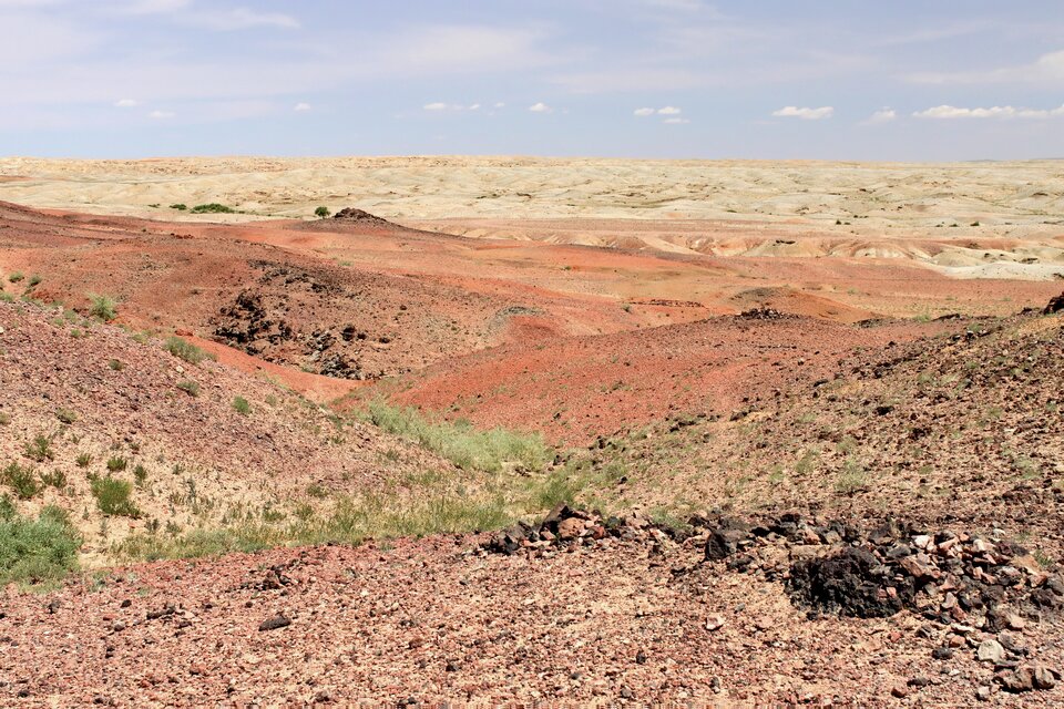 Zdjęcie przedstawia Pustynię Gobi w Mongolii. Pustynny krajobraz składa się z niewysokich wzgórz zbudowanych z czerwonego piasku. Widać na nich pojedyncze kępy traw.  