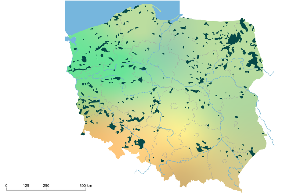 Mapa C. Na mapie Polski na obszarze całego kraju są ciemnozielone obszary. Najwięcej jest ich w województwie podlaskim, dolnośląskim, a najmniej w w województwie małopolskim, śląskim, łódzkim. 