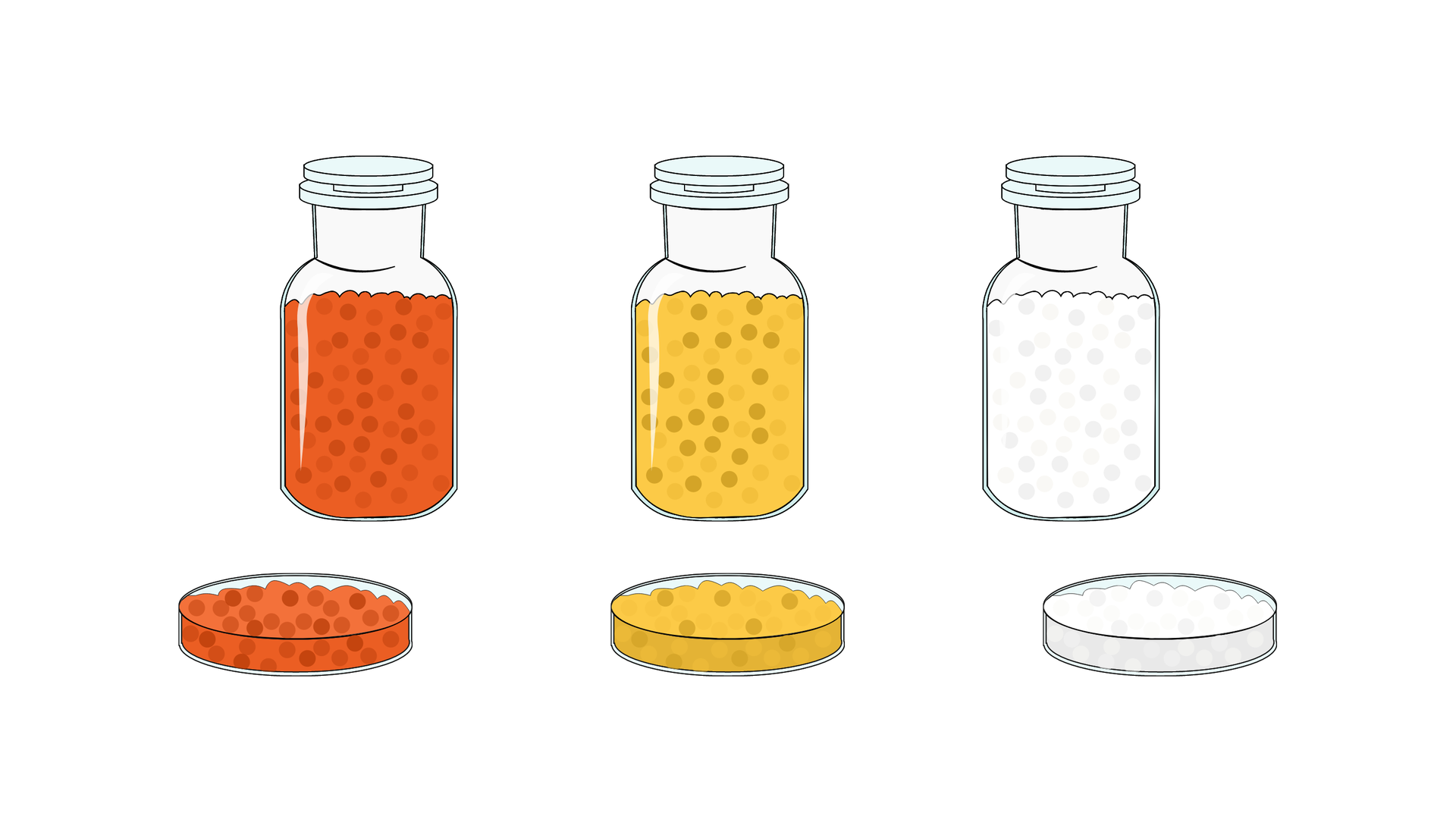 Na zdjęciu przedstawiono animowaną ilustrację przedstawiającą żel krzemionkowy. Żel krzemionkowy to dwutlenek krzemu o różnym stopniu uwodnienia.Na zdjęciu widoczne są trzy zamknięte buteleczki na odczynniki. W każdej z butelek znajdują się drobne kolorowe kuleczki. W butelce po lewej są one koloru czerwonego. W butelce po środku są koloru żółtego. W butelce po prawej są koloru żółtego. Przed buteleczkami znajdują się szalki Petriego. W każdej z szalek nasypane są kolorowe granulki. Granulki odpowiadają kolorowi granulek w buteleczce na odczynniki.