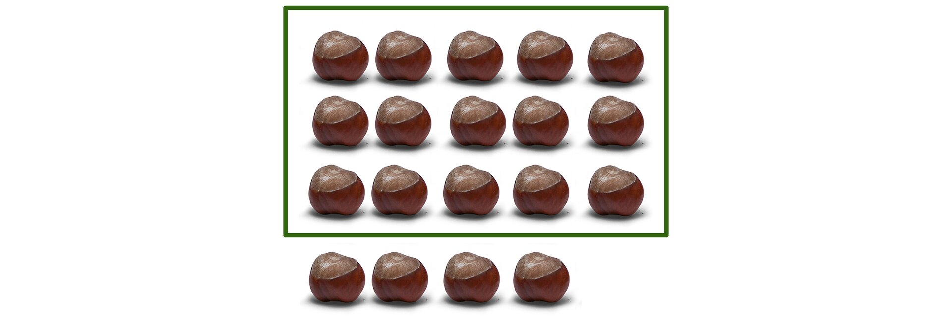Na rysunku 19 kasztanów. Podzielono je na 3 rzędy po pięć kasztanów w każdym. Zostały 4 kasztany.