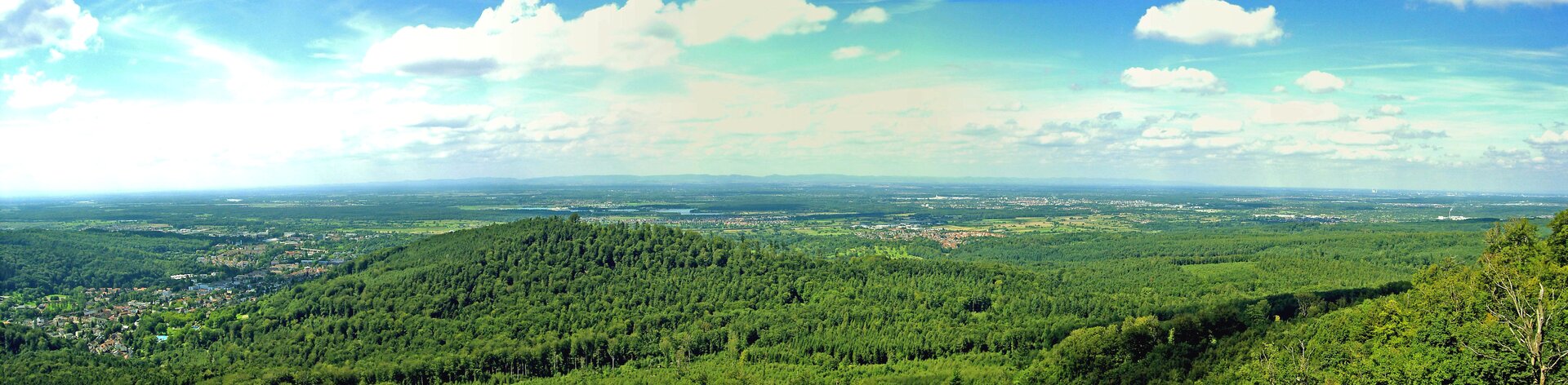 Na zdjęciu panoramicznym rozległy płaski, lekko pofałdowany teren porośnięty lasem.
