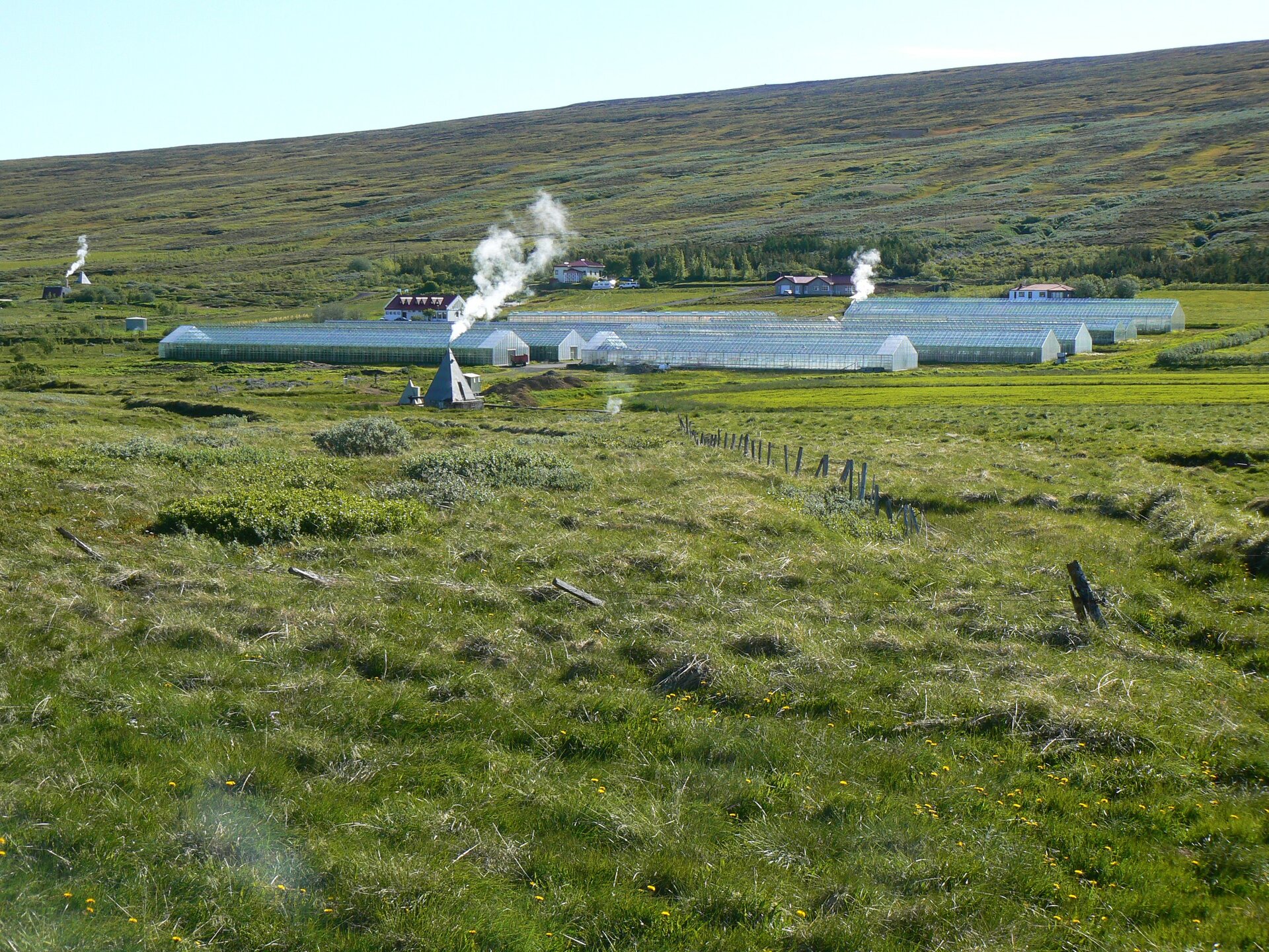 Na zdjęciu rozległa łąka. W centralnej części zdjęcia około dziesięciu długich szklarni ustawionych w rzędy, gdzieniegdzie budynki, z których unosi się dym.