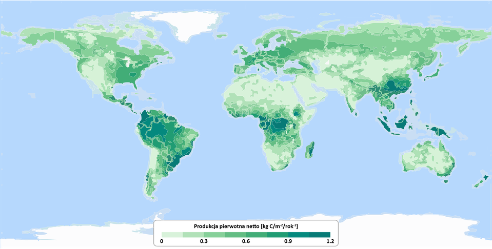 Mapa przedstawia produkcję pierwotną netto terenów lądowych Ziemi w jednostce kilogram węgla na metr indeks górny -2 na rok indeks górny -1. Dla produkcji od 0 do 0,3 zaznaczono zachodnie wybrzeże Ameryki Północnej i Południowej, północne i południowe tereny Afryki, Półwyspu Arabskiego oraz centralne tereny Azji i większość terenu Australii.  Dla produkcji od 0,3 do 0,6 zaznaczono północne tereny Ameryki Północnej i Północną część Europy oraz Azji.  Dla produkcji od 0,6 do 0,9 zaznaczono tereny Południa i Środka Ameryki Południowej, wschodnią część Ameryki Północnej, Zachód Europy, Afrykę Środkową, Azję Południowo‑Wschodnią oraz środkowe tereny Chin.  Dla produkcji od 0,9 do 1,2 zaznaczono tereny południa Ameryki Południowej, Amerykę Środkową, Afrykę Środkową i Madagaskar, Azję Południowo‑Wschodnią oraz południe Chin. 