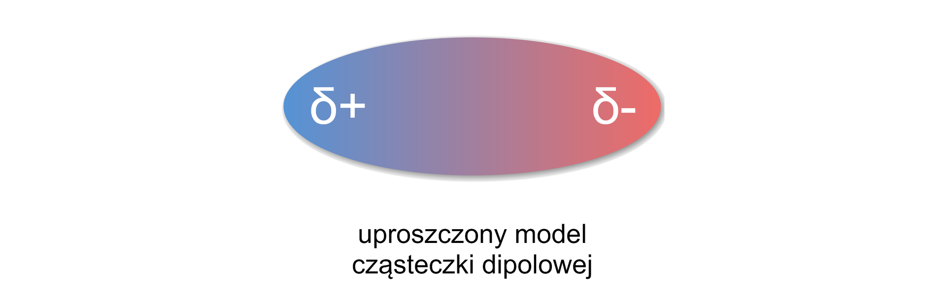 Uproszczony model przedstawiony jest w postaci owalu, elipsy: po lewej stronie jest kolor niebieski oznaczony delta plus, po przeciwnej owal ma kolor jasnoczerwony delta minus. 