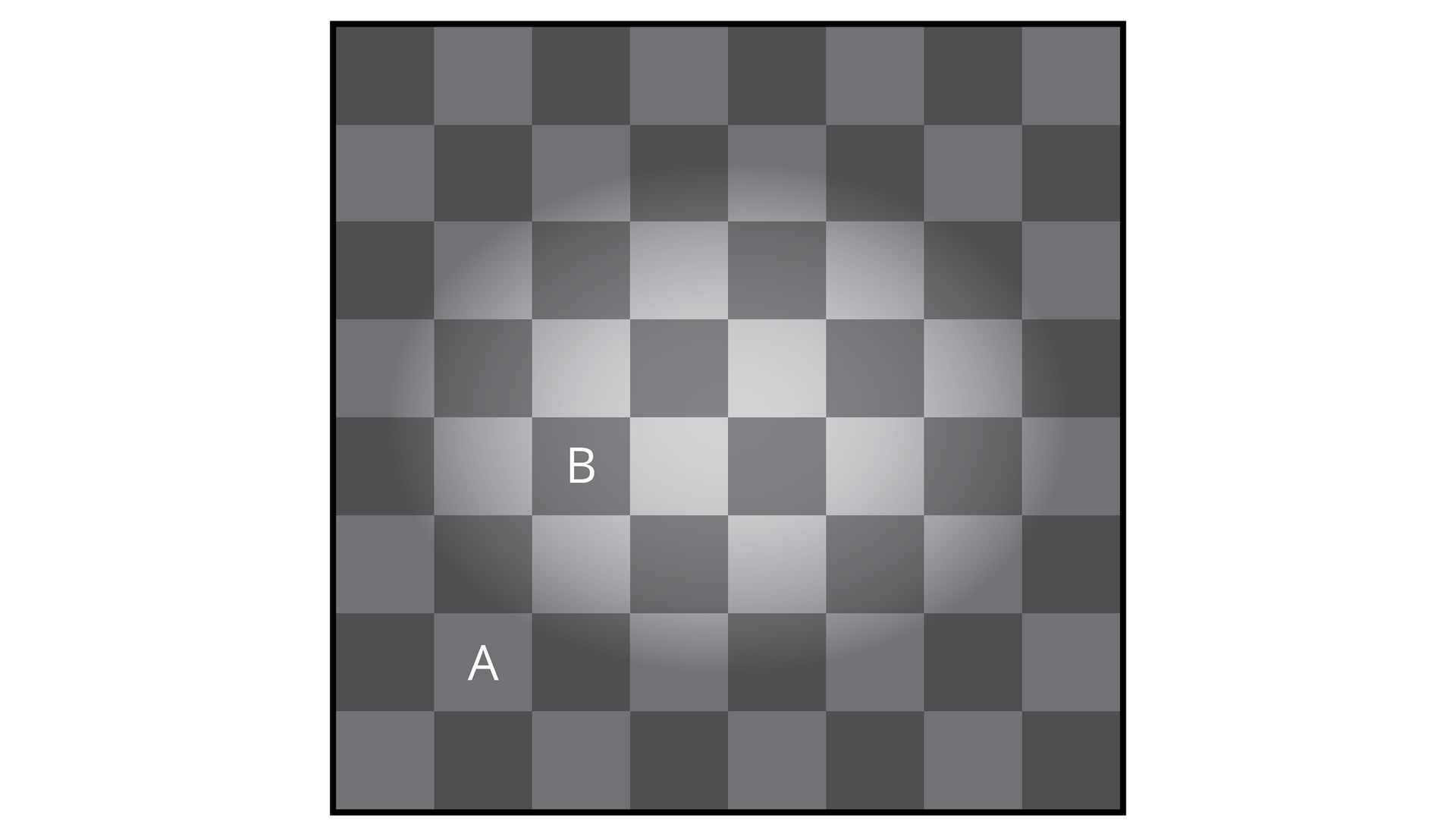 W galerii znajdują się przykłady obrazów, wprowadzających mózg w błąd. Ilustracja przedstawia szaro – ciemnoszarą szachownicę. Część środkowa wydaje się uwypuklona. Szachownica składa się z ośmiu kolumn i z ośmiu rzędów. Kwadrat A znajduje się w drugiej kolumnie i w siódmym rzędzie, natomiast kwadrat B znajduje się w trzeciej kolumnie i w w piątym rzędzie.