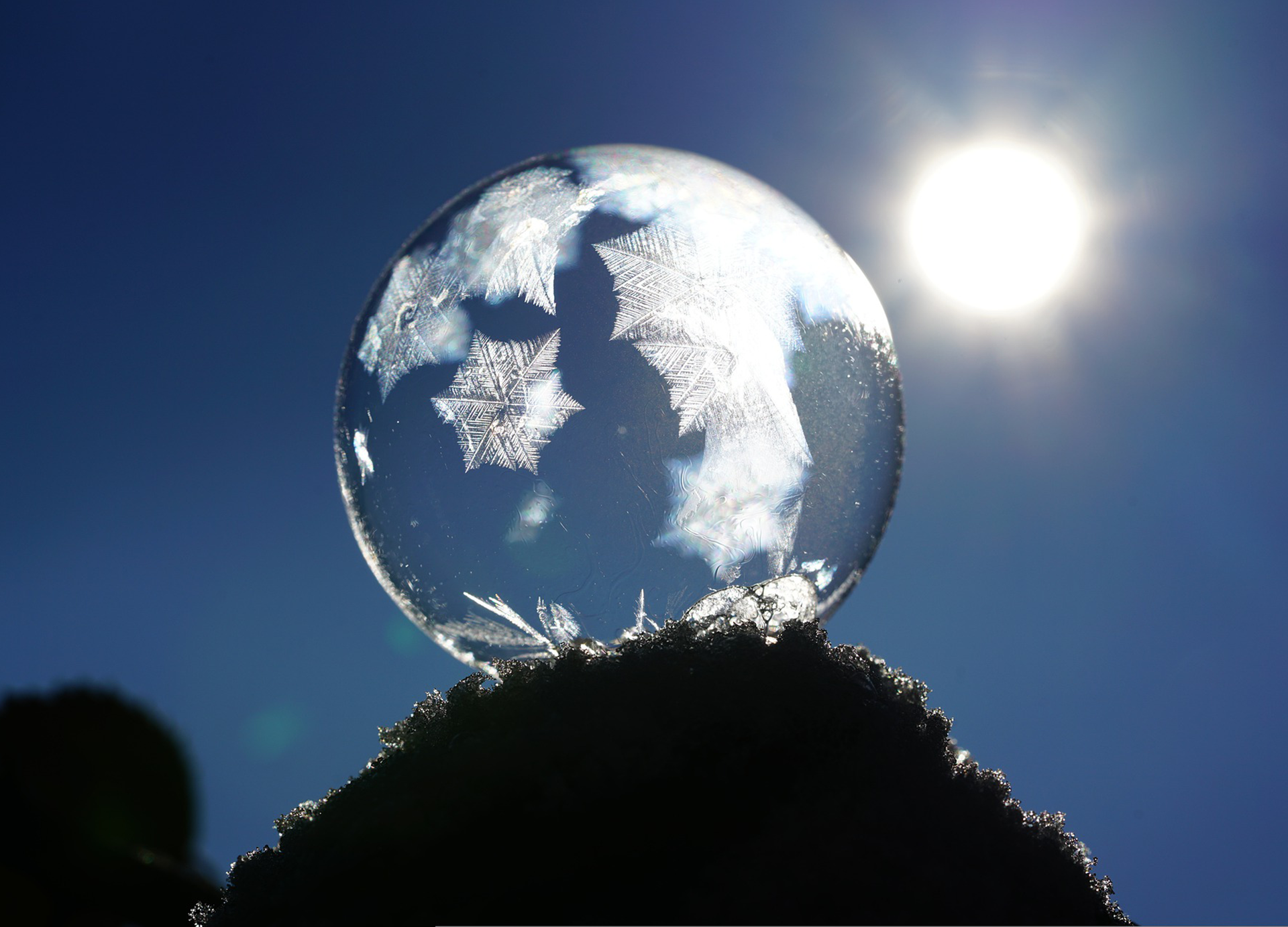 Zdjęcie przedstawia zamrożoną kulę wody, w której widoczne są narysowane przez mróz gwiazdki. Widoczne jest również słońce. 