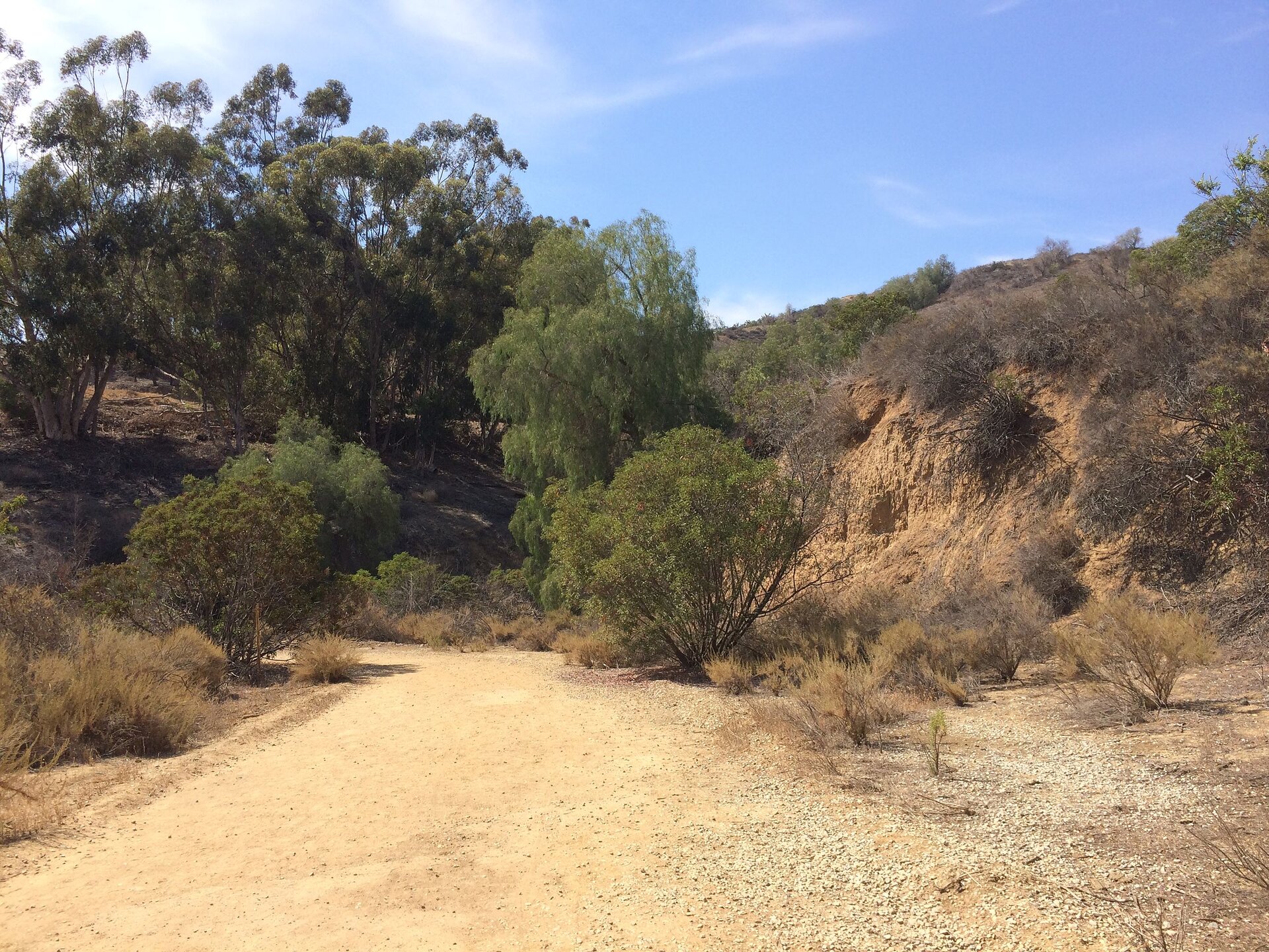 Pośrodku fotografii, na pierwszym planie piaszczysta droga. Dalej wniesienie porośnięte drzewami. Stoki w niektórych miejscach obrywają się, odsłaniając żółto‑pomarańczową ziemię.