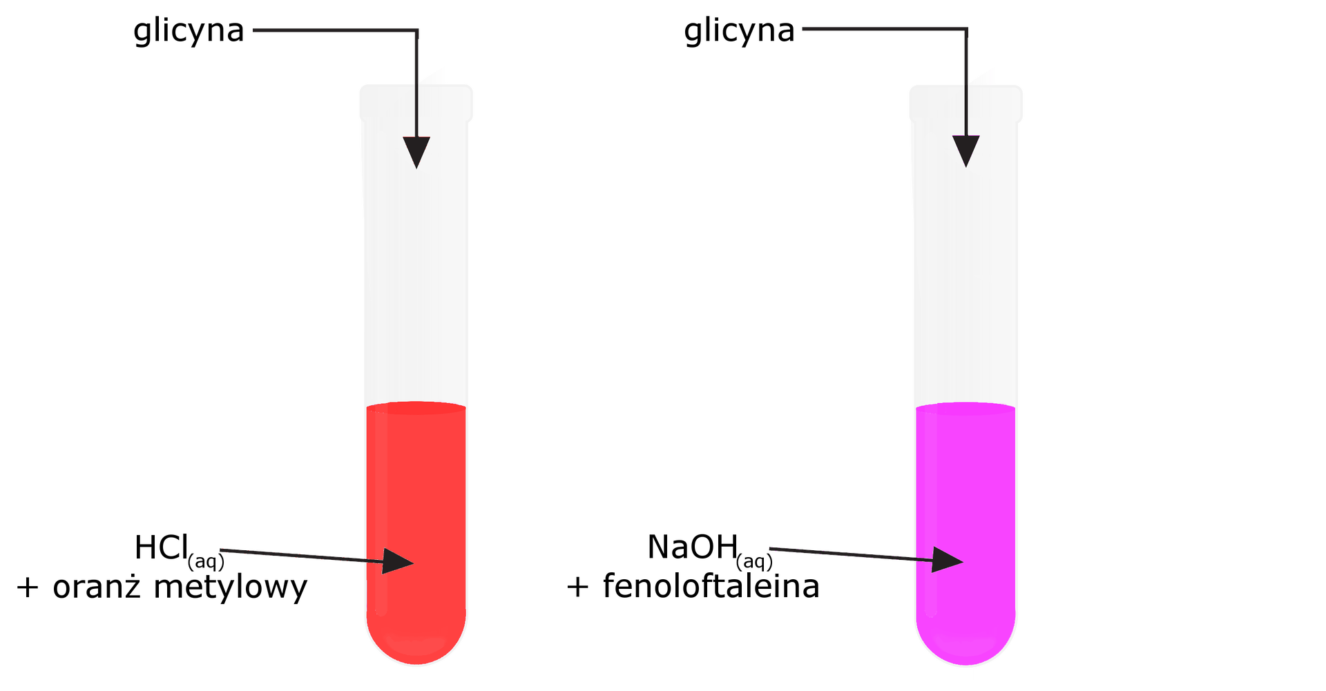 Na ilustracji przedstawiono dwie probówki, pierwsza zawiera czerwony roztwór oranżu metylowego i kwasu chlorowodorowego, a druga zawiera malinoworóżowy roztwór fenoloftaleiny i wodorotlenku sodu. Do obu probówek dodaje się glicynę.