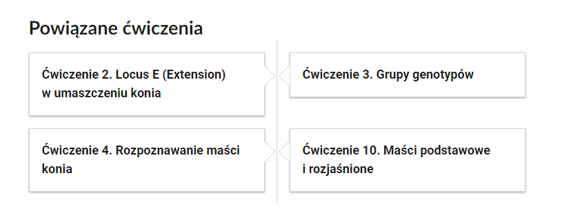 Grafika przedstawia przykładowe przyciski ćwiczeń powiązanych z danym multimedium. Na górze umieszczony jest nagłówek: Powiązane ćwiczenia. Poniżej znajdują się cztery pola. Ćwiczenie drugie. Locus E (Extension) w umaszczeniu konia. Ćwiczenie czwarte. Rozpoznawanie maści konia. Ćwiczenie trzecie. Grupy genotypów. Ćwiczenie dziesiąte. Maści podstawowe i rozjaśnione.