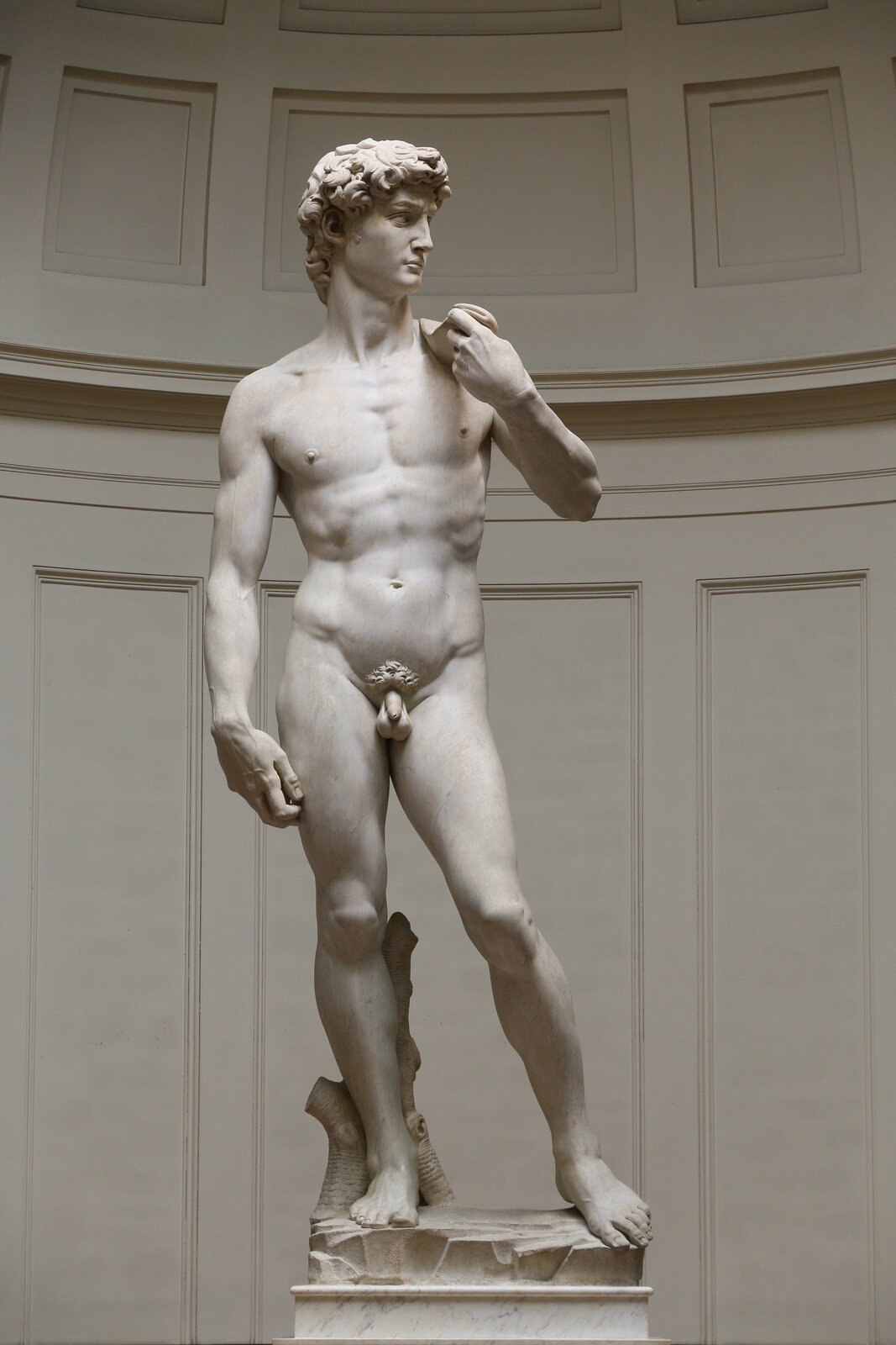 Ilustracja o kształcie pionowego prostokąta przedstawia rzeźbę Michała Anioła „Dawid”. Ukazuje posąg młodego, umięśnionego  mężczyzny w akcie, stojącego w kontrapoście. Dawid ma odsunięta lewą nogę, jego ciężar ciała spoczywa na nodze prawej. Prawa ręka jest swobodnie opuszczona, dłoń zgięta w nadgarstku. Lewa ręka zgięta w łokciu trzyma przerzuconą przez lewe ramię procę. Głowa skierowana jest w lewa stronę.   Lokowane włosy przysłaniają lekko kark i prawe  ucho.   Wzrok mężczyzny jest skupiony, a mimika twarzy nie zdradza uczuć, jest poważna. Z tyłu za jego prawą nogą widać kawałek pnia drzewa. Posąg ustawiony jest na postumencie. W tle widoczna jest ściana z kasetonami. 