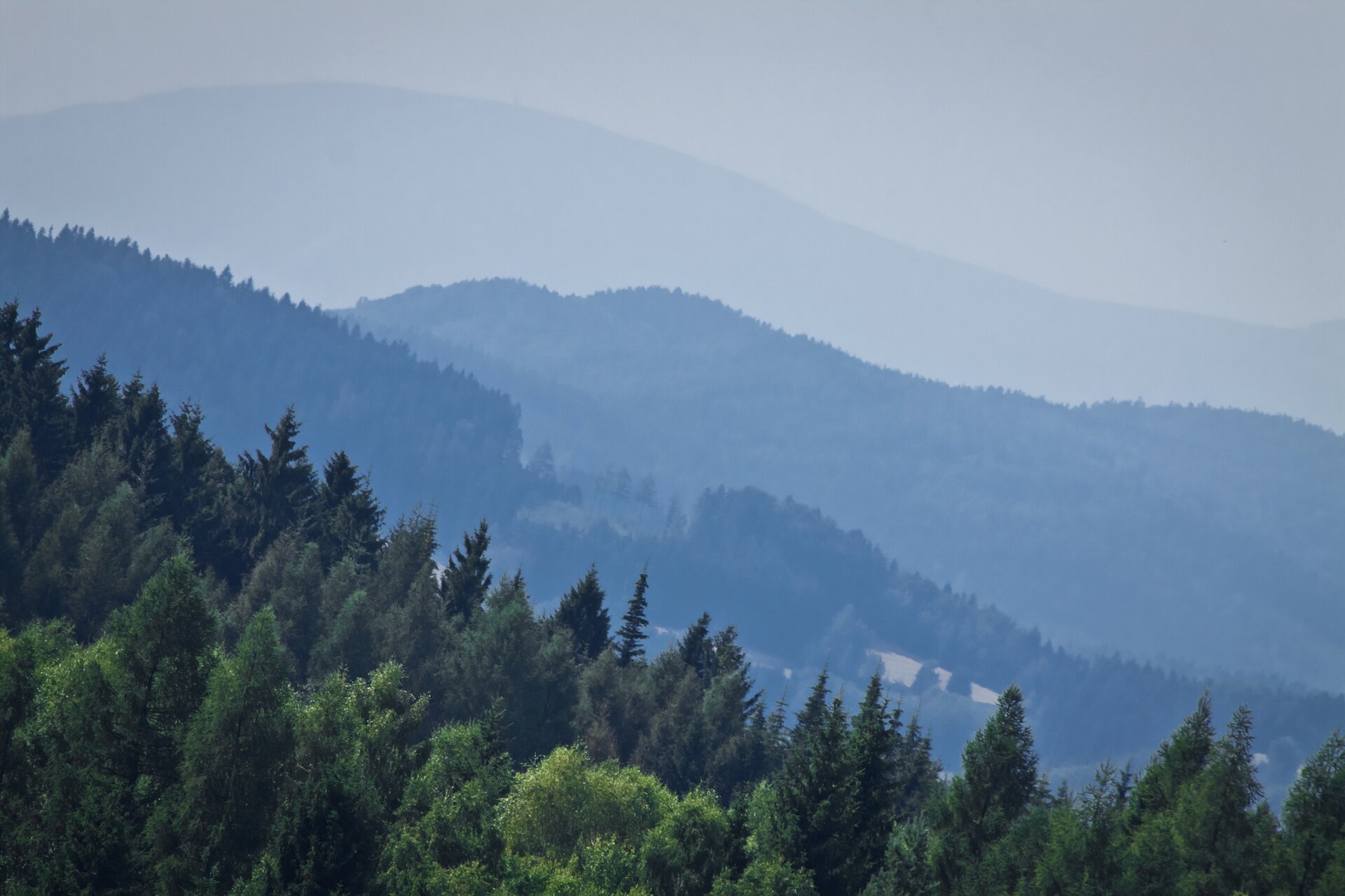 Kolorowe zdjęcie przedstawia las porastający zbocza gór.