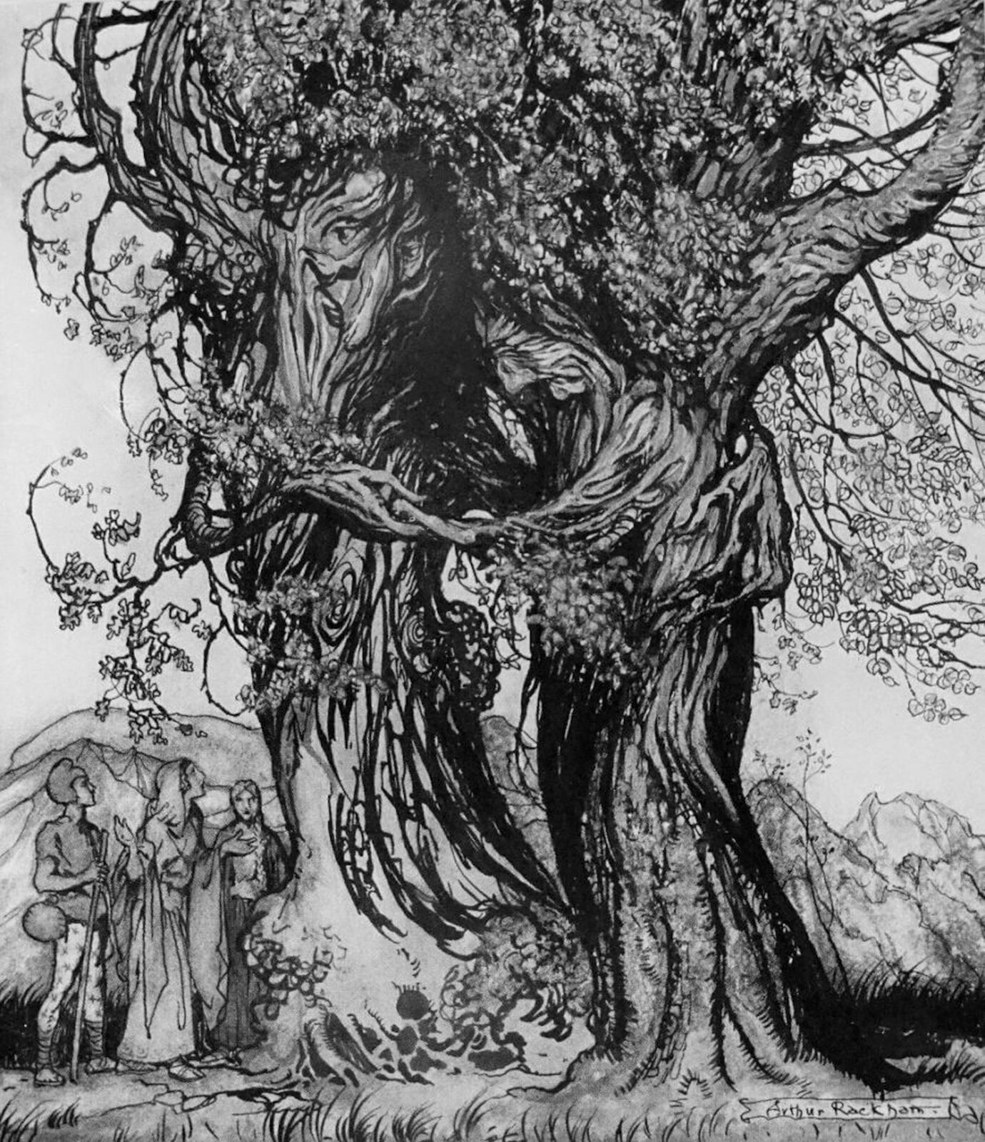 Ilustracja przedstawia dzieło Arthura Rackhama pt. „Stary Filemon i stara Baucis”. Zgodnie z życzeniem para staruszków została zamieniona przez bogów w drzewa. Na pniach drzew widoczne są ich twarze. Drzewa są splecione konarami. Obok stoi grupa przyglądających się ludzi.