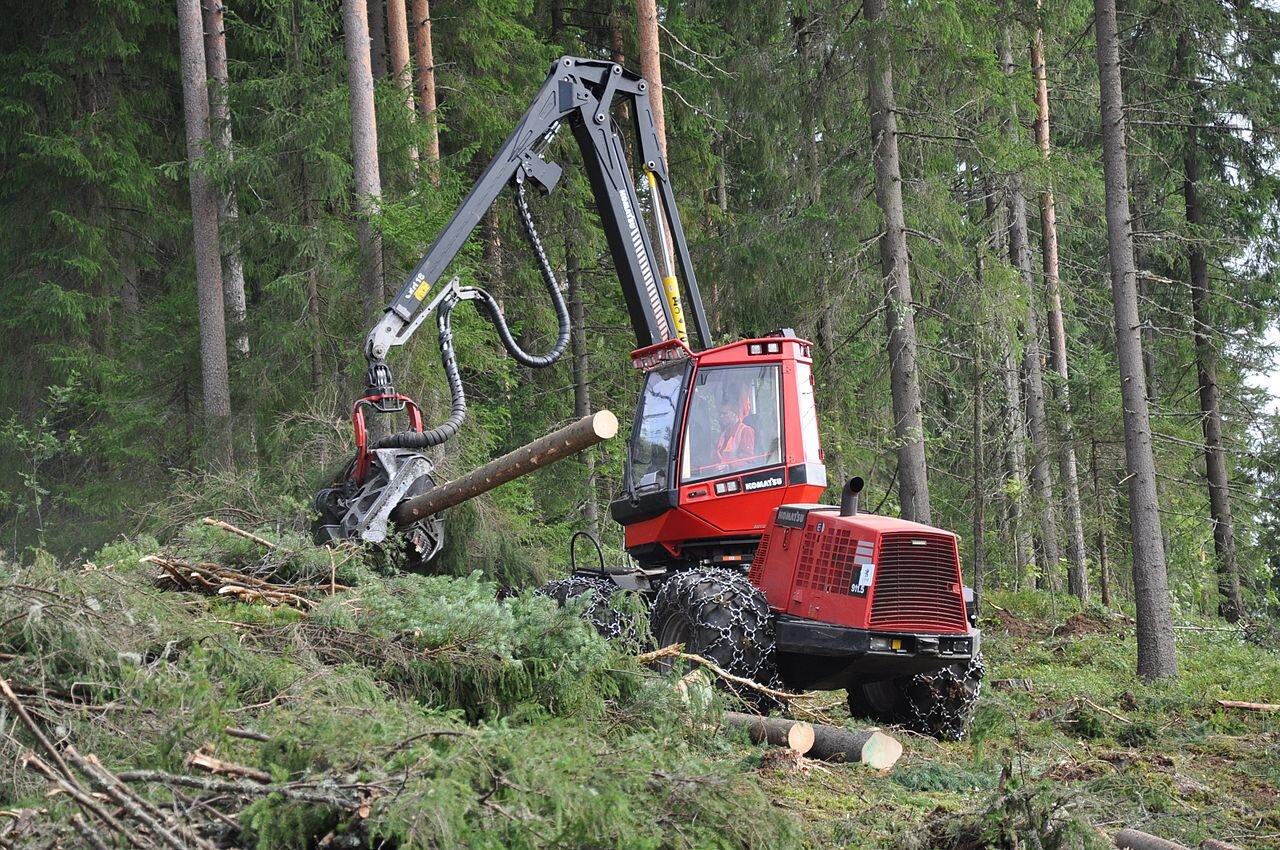 Zdjęcie przedstawia czerwony kombajn zrębowy Harwester podczas  pracy. Kombajn posiada cztery duże koła na szerokich oponach z łańcuchami. Powyżej znajduje się obrotowa kabina, w której siedzi człowiek. Maszyna posiada ramię, a na jego końcu chwytak, w którym znajduje się kawałek drewna. Obok kombajnu znajdują się powalone pnie, a w tle drzewa iglaste.  