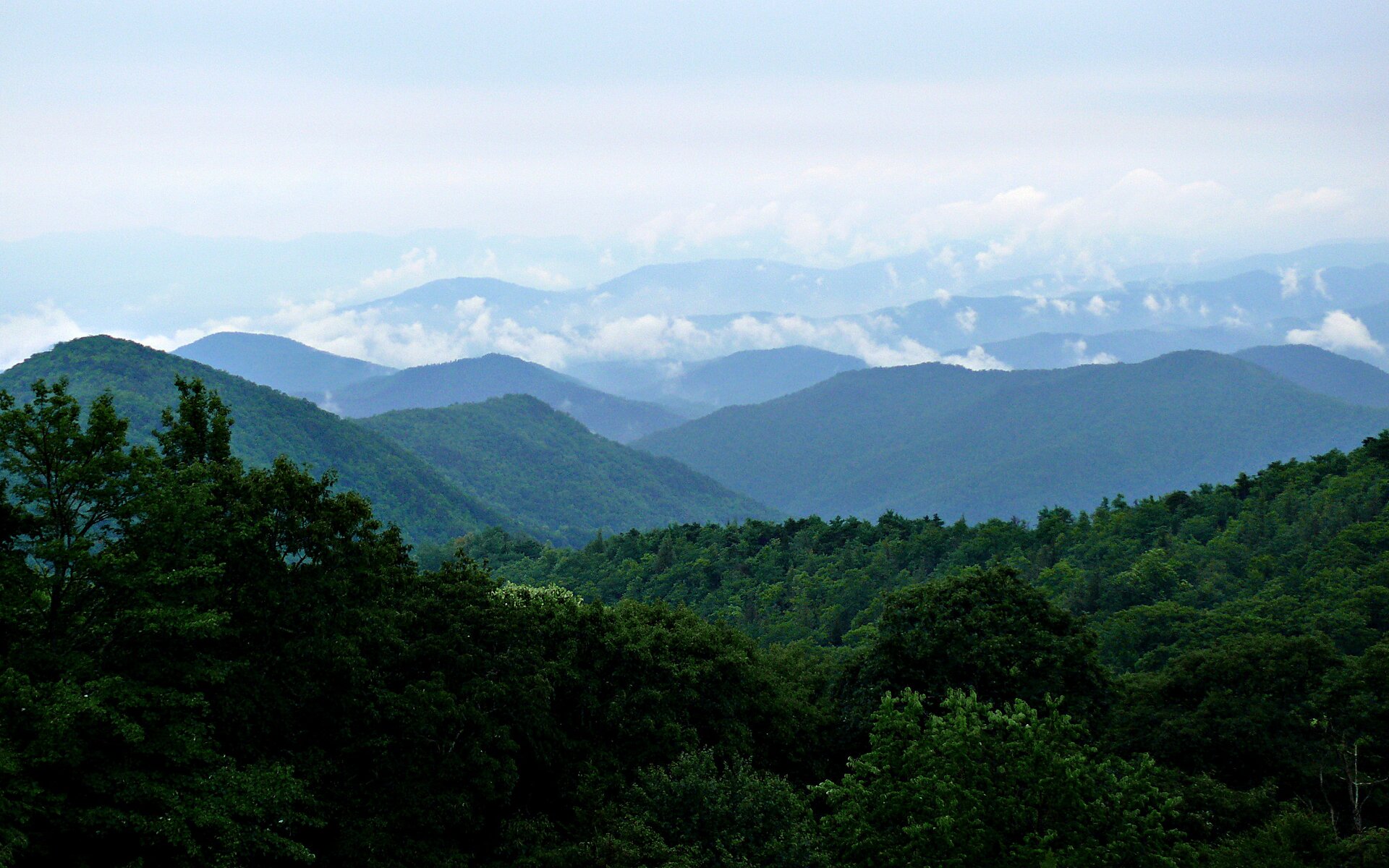 Na zdjęciu łagodne pasma górskie pokryte lasami.