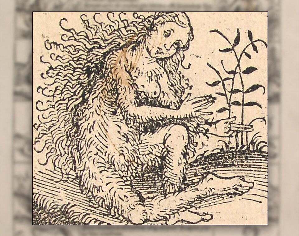 Ilustracja przedstawiająca kobietę, której skórę pokrywa sierść.