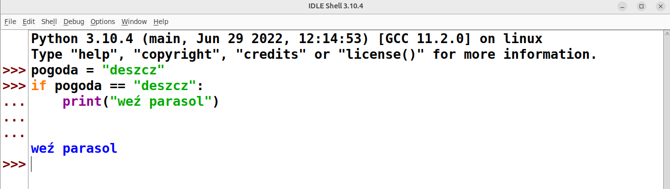 Wykonanie kodu w IDLE