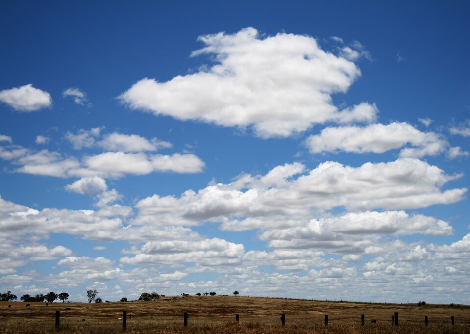 Na zdjęciu znajdują się chmury typu (Cumulus humilis), kłębiaste, jakby spłaszczone, rozciągnięte na błękitnym niebie. U dołu zdjęcia widoczne jest pastwisko pokryte suchą trawą.