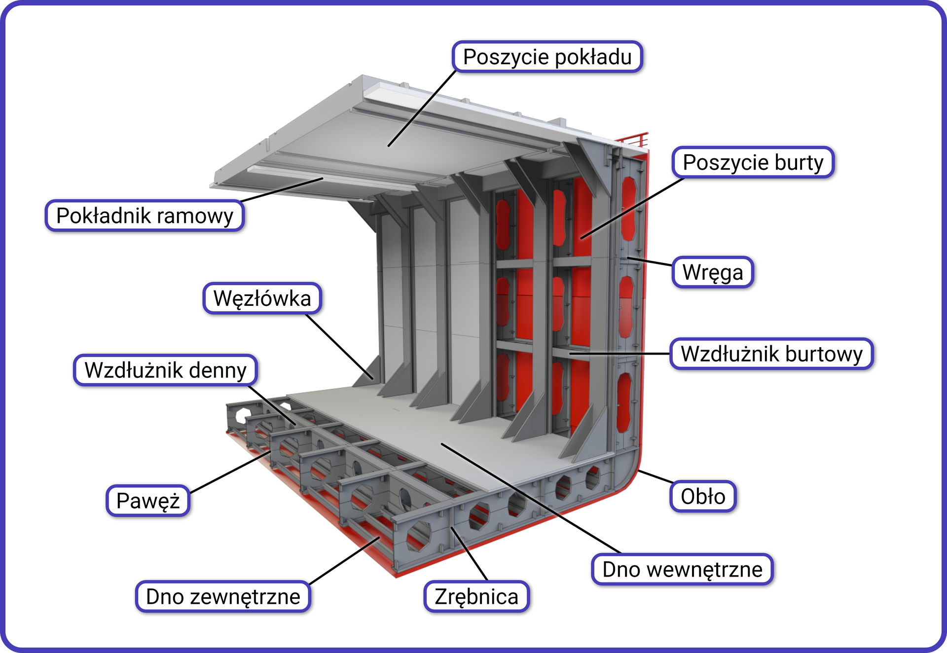 Grafika przedstawia fragment konstrukcji dna i poszycia kadłuba. Składa się on z następujących elementów: poszycie pokładu, poszycie burty, wręga, wzdłużnik burtowy, obło, dno wewnętrzne, zrębnica, dno zewnętrzne, pawęż, wzdłużnik denny, węzłówka, pokładnik ramowy.