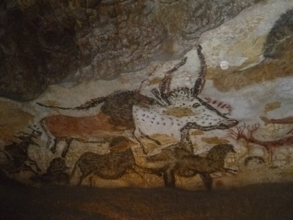 Ilustracja ukazuje fragment malowidła w Lascaux z wizerunkiem galopujących koni.  Konie są ukazane w ruchu, mają zróżnicowane pozy podkreślające dynamikę, ich nogi oderwane są od podłoża, a szyje wyciągnięte. Konie na pierwszym planie namalowane są w głębokiej czerni. Koń na drugim planie posiada wyrazisty kontur , a w jego ubarwieniu dominuje ochra. Za końmi widoczny jest fragment byka. Tłem malowidła jest powierzchnia skały. 
