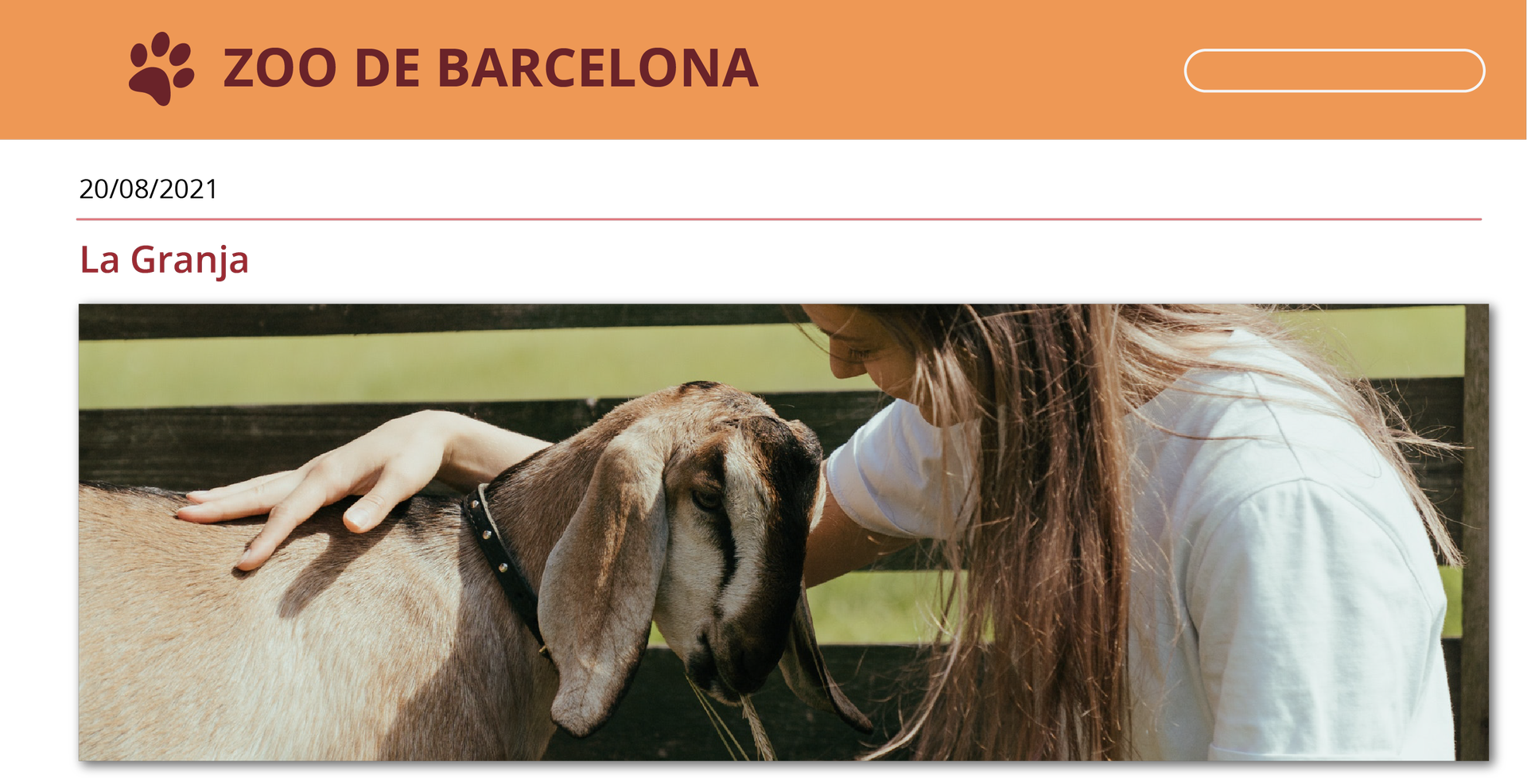 Ilustracja imituje górną belkę bloga internetowego. Zaczyna się panelem, na którym znajduje się grafika przedstawiająca odcisk łapy psa oraz napis Zoo de Barcelona. Poniżej znajduje się data oraz napis La Granja. Pod spodem zdjęcie dziewczyny, która głaszcze kozę. 