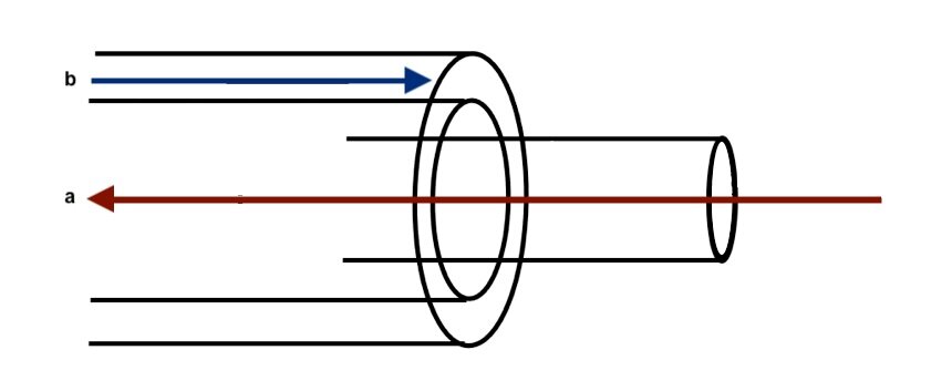 Na ilustracji znajduje się schematyczny rysunek kabla koncentrycznego. Żyła wewnętrzna pełni rolę przewodu doprowadzającego sygnał (a), natomiast ekran stanowi przewód powrotny dla tego sygnału (b). Ten rodzaj konfiguracji pozwala na skuteczne przesyłanie sygnałów, zachowując odpowiednią izolację i tłumienie zakłóceń.