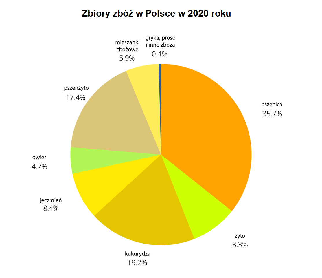 Wykres kołowy prezentujący udział poszczególnych gatunków zbóż w ogólnej strukturze zbioru zbóż w Polsce w 2020 roku. Dane zaprezentowane na wykresie: pszenica 35,7%, żyto 8,3%, kukurydza 19,2%, jęczmień 8,4%, owies 4,7%, pszenżyto 17,4%, mieszanki zbożowe 5,9%, gryka, proso i inne zboża 0,4%.