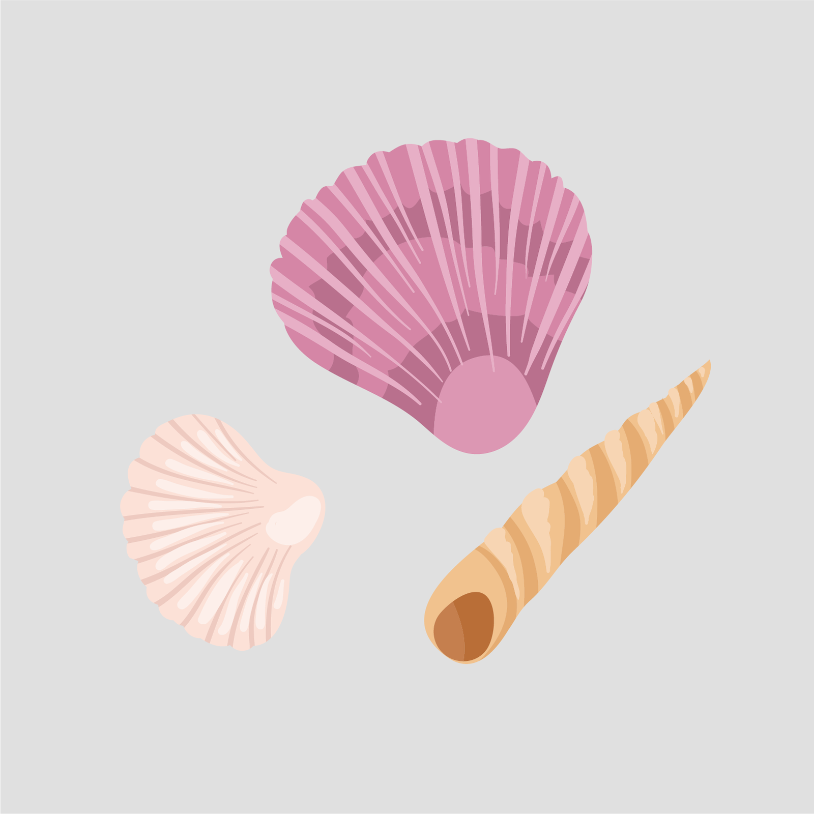 Ilustracja przedstawia trzy różnokolorowe muszelki. 