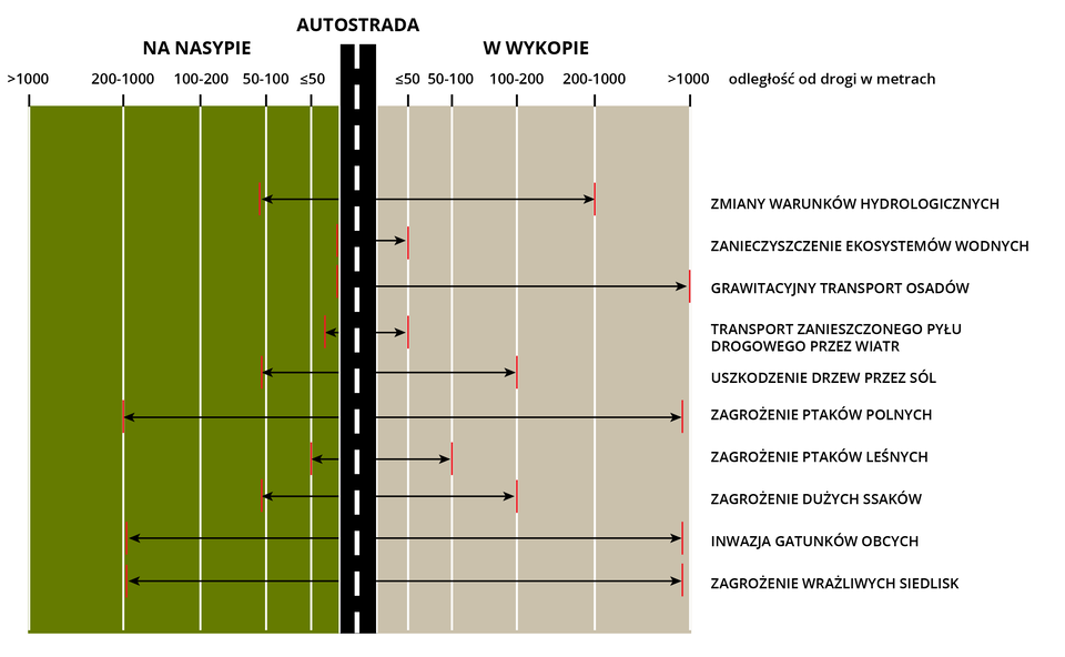 Na ilustracji przedstawiono zasięg przestrzenny wpływu autostrady na środowisko w zależności od sposobu jej poprowadzenia - na nasypie lub w wykopie. Podano odległość od drogi w metrach. W wykopie 200‑1000 metrów, w nasypie 50‑100 metrów - zmiany warunków hydrologicznych. W wykopie poniżej 50 metrów, w nasypie 0 - zanieczyszczenie ekosystemów wodnych. W wykopie powyżej 1000 metrów, w nasypie 0 - grawitacyjny transport osadów. W wykopie 50 lub poniżej metrów, w nasypie około 25 metrów - transport zanieczyszczonego pyłu drogowego przez wiatr. W wykopie 100‑200 metrów, w nasypie 50‑100 metrów - uszkodzenie drzew przez sól. W wykopie 1000 metrów i powyżej, w nasypie 200‑1000 metrów - zagrożenie ptaków polnych. W wykopie 50‑100, w nasypie 50 lub mniej metrów - zagrożenie ptaków leśnych. W wykopie 100‑200 metrów, w nasypie 50‑100 metrów zagrożenie dużych ssaków. W wykopie 100 metrów i powyżej, w nasypie 200‑1000 metrów inwazja gatunków obcych. W wykopie 100 metrów i powyżej, w nasypie 200‑1000 metrów zagrożenie wrażliwych siedlisk.    